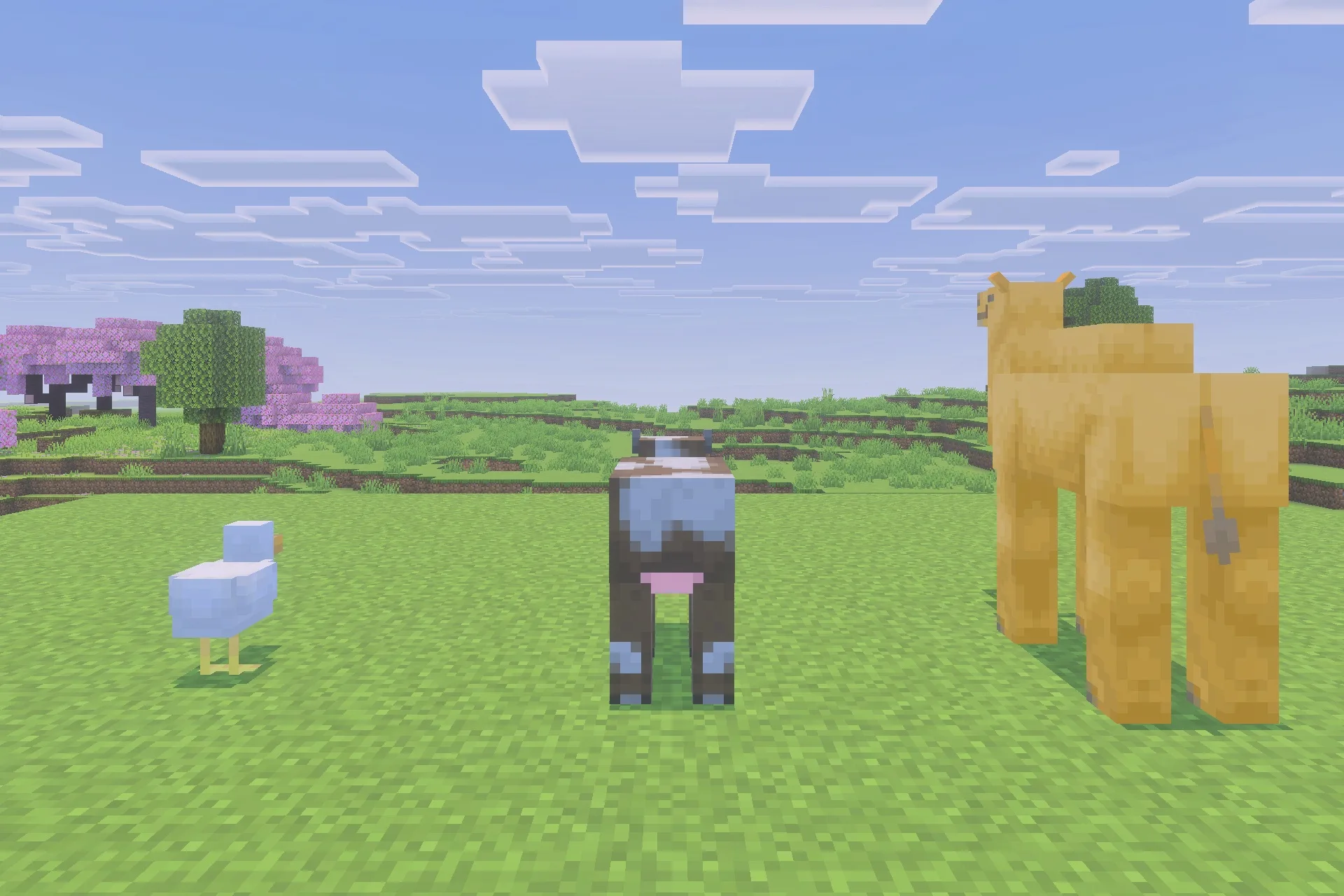 A chicken a cow and a camel standing in a grassy Minecraft world