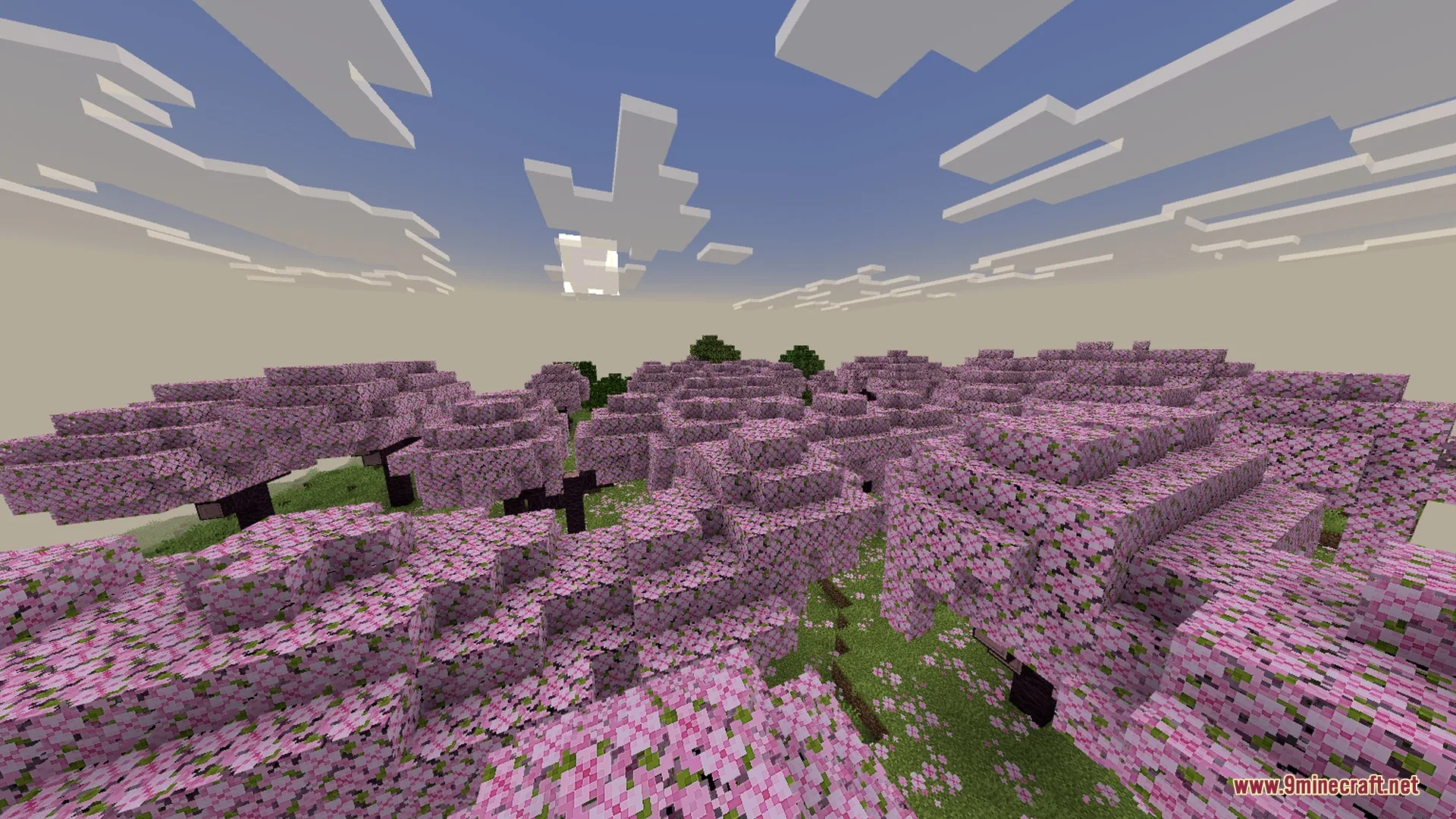 Pink cherry blossom trees under a soft sky with atmospheric fog effects