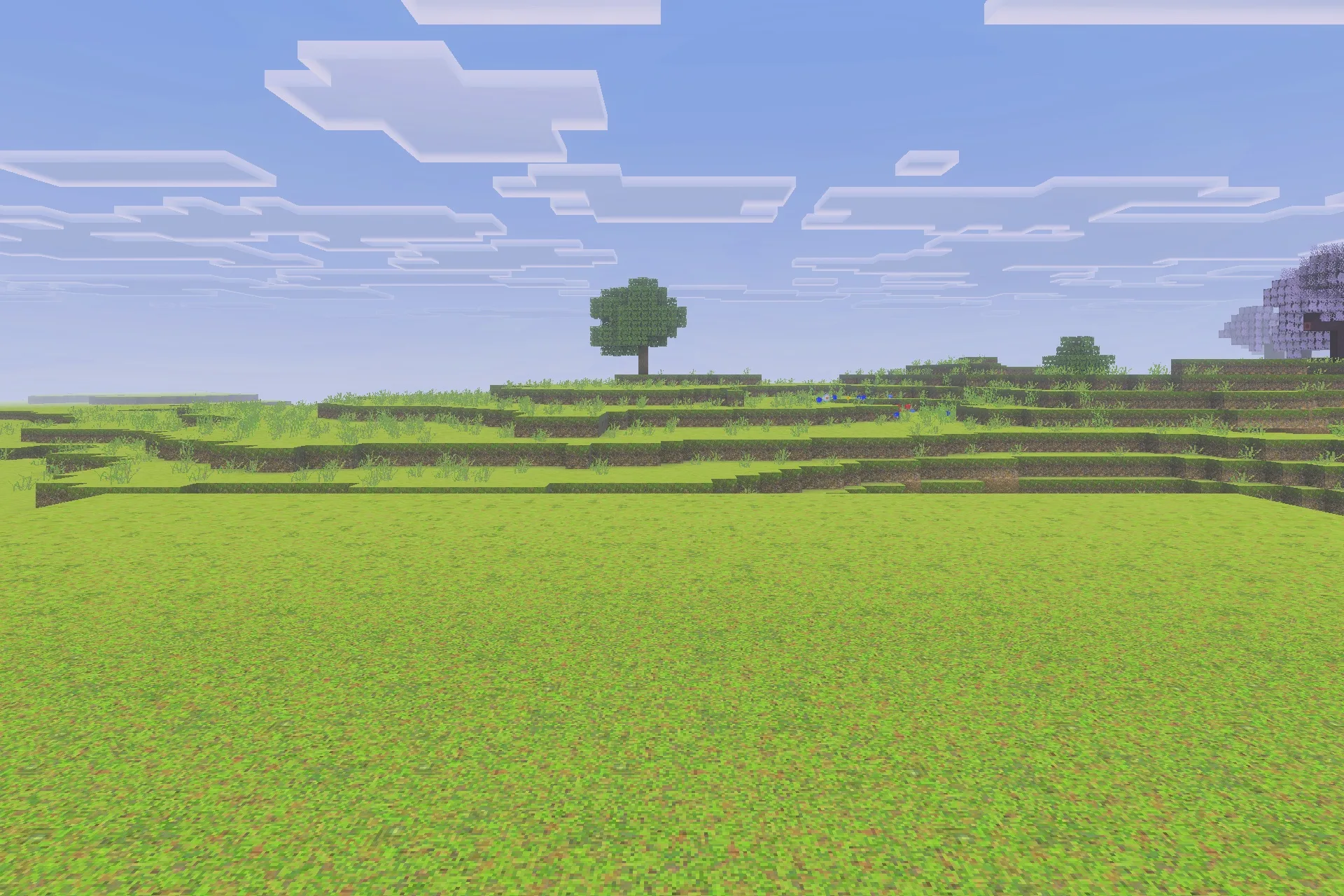 Optimum Realism for Bedrock Edition Texture Pack Screenshot 3 A wide Minecraft landscape featuring realistic grass textures and a clear blue sky