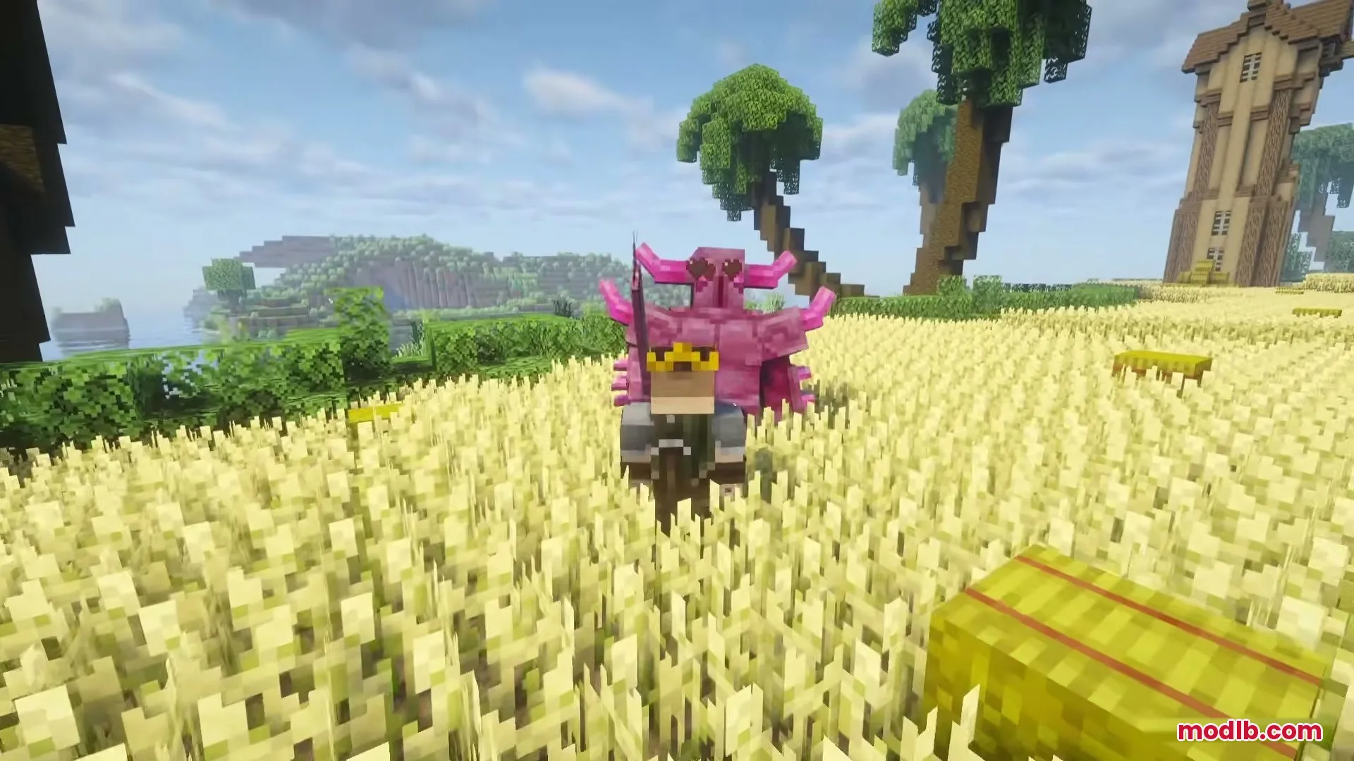 Pink armored mob standing behind a crowned player in a wheat field