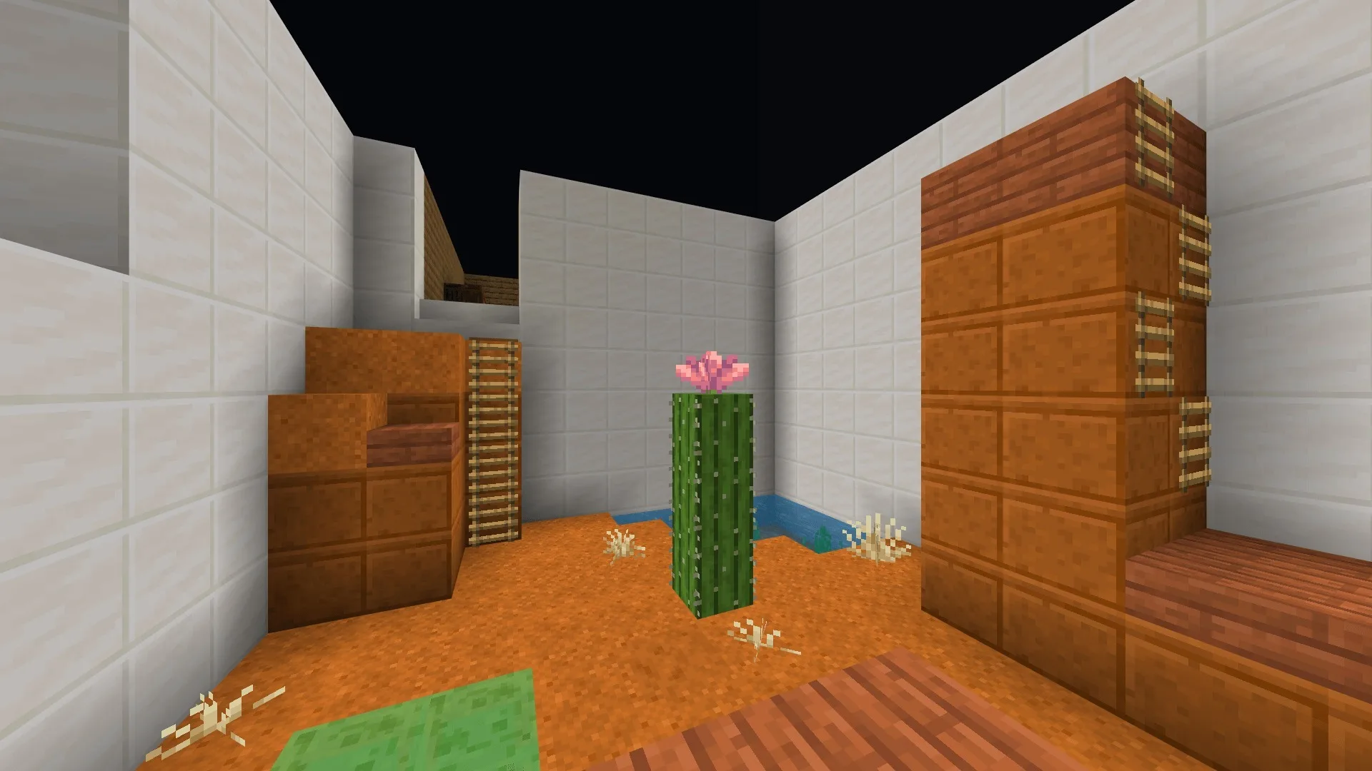 Parkour a Map Screenshot 4 Desert themed parkour level with red sand a flowering cactus and ladders