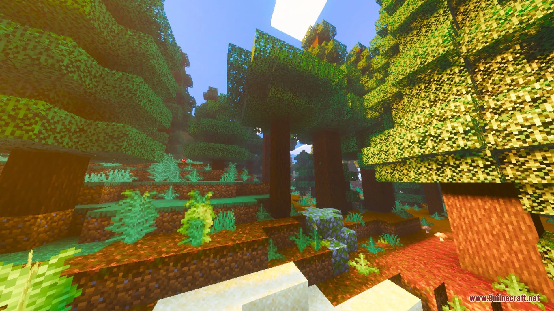 Prismatic Visuals Shader Screenshot 7 Warm saturated sunlight shines through tall spruce trees in a lush biome