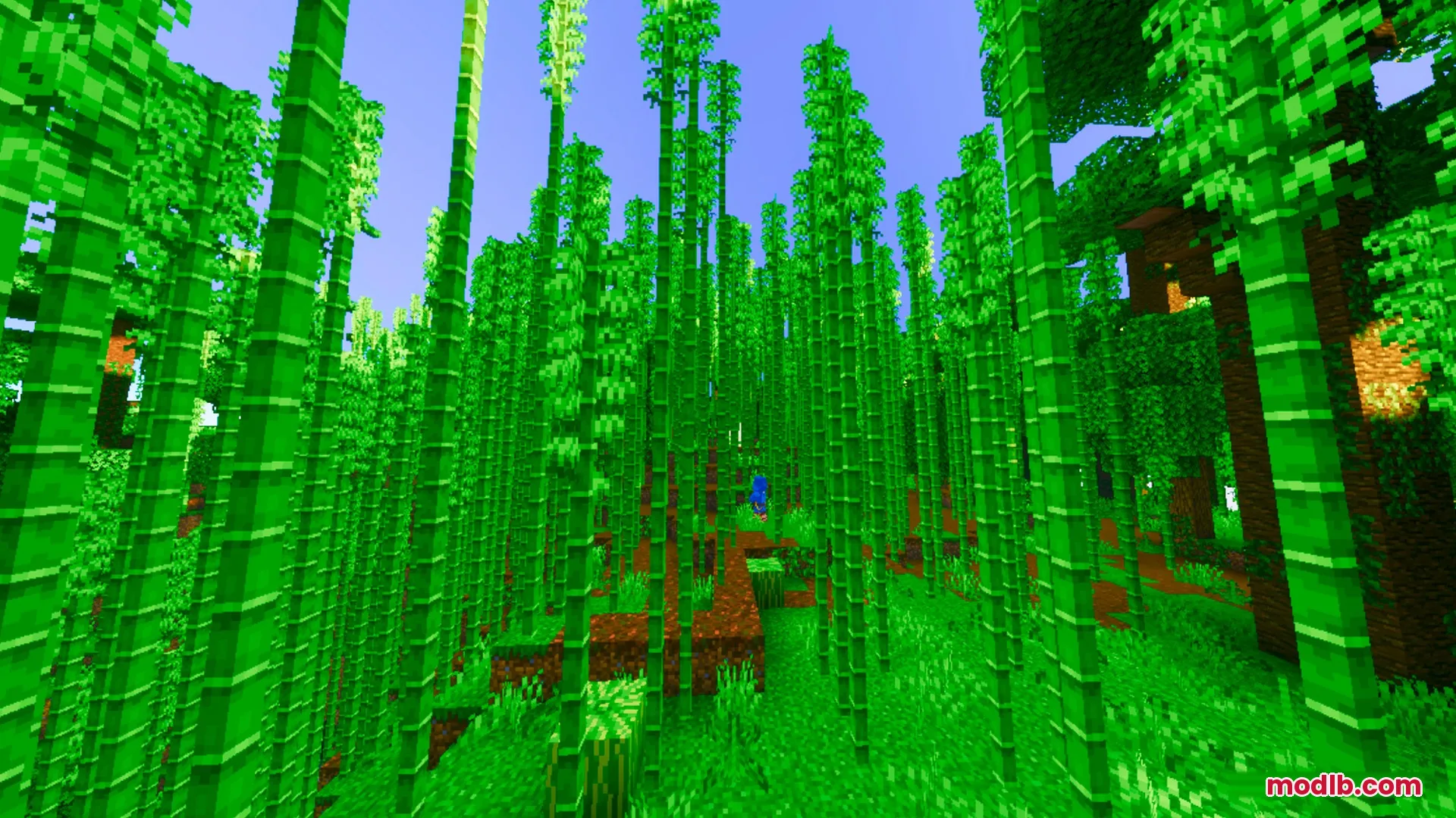 Prismatic Visuals Shader Screenshot 8 Vibrant green bamboo stalks grow densely in a bright and colorful forest