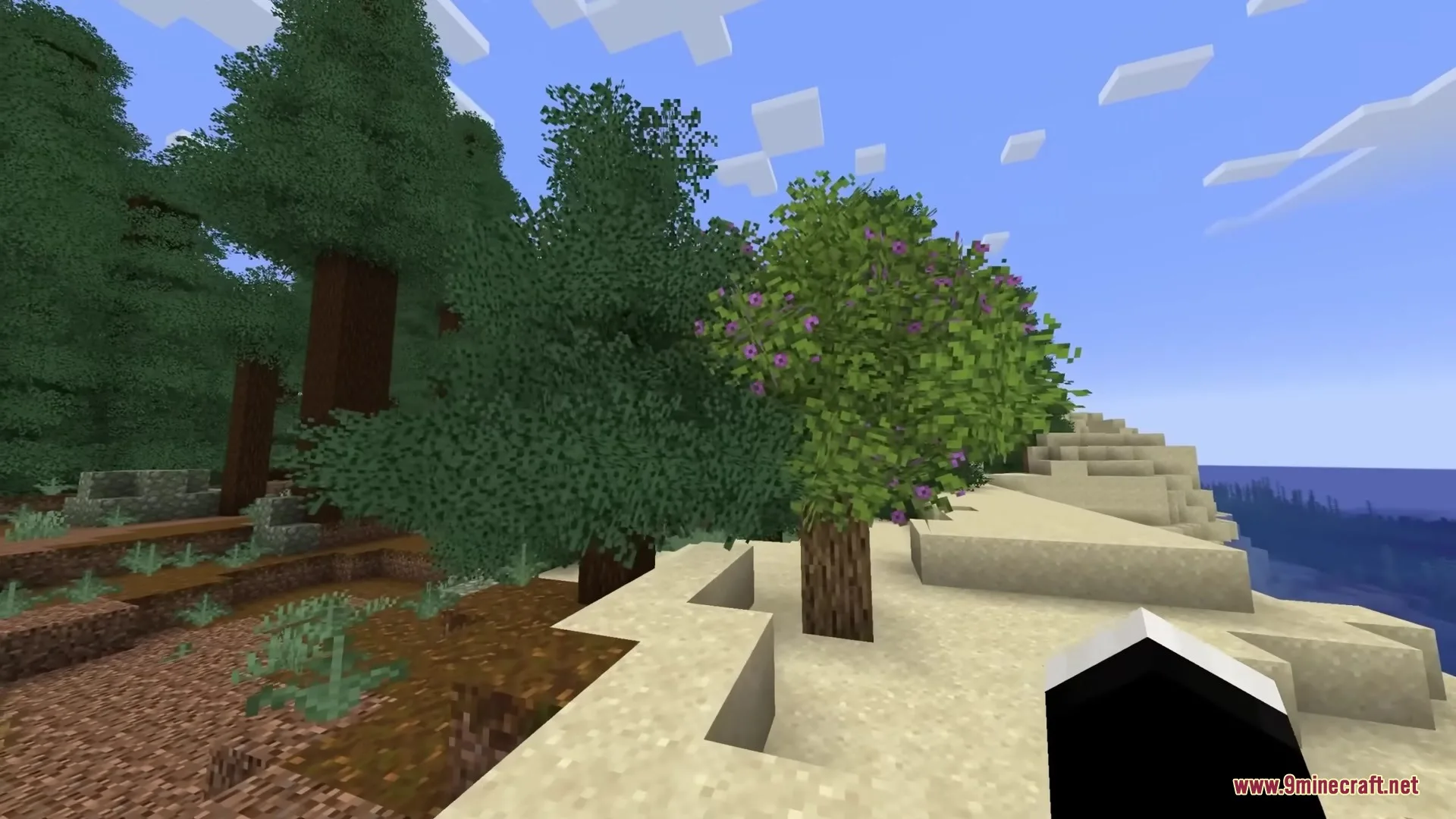 A flowering tree stands on a sandy beach near a dense green forest