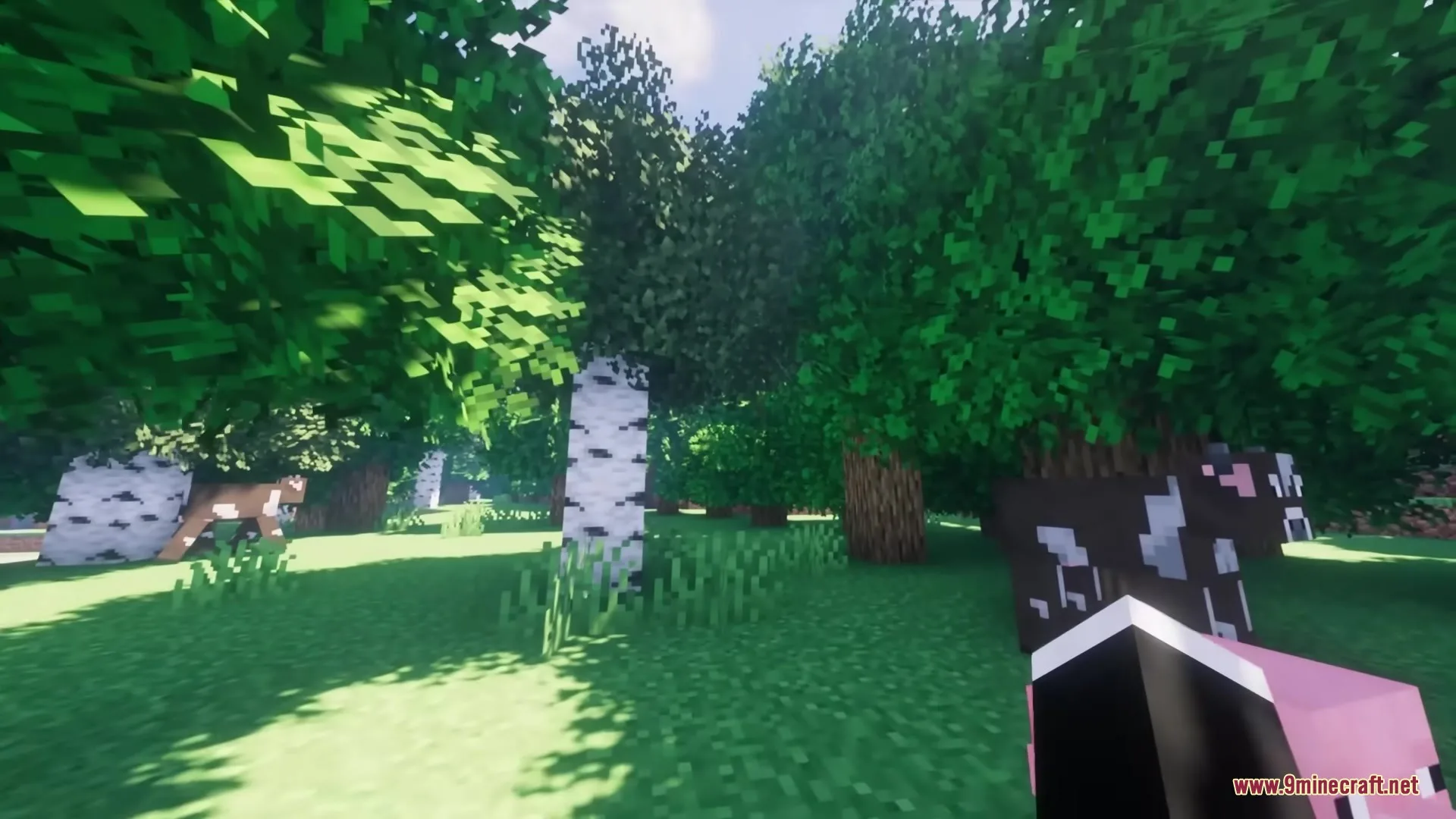 A cow grazing in a bright forest with bushy leaves and sunny shaders
