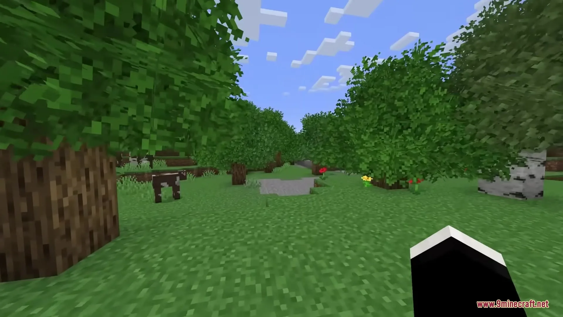 Lush green trees with bushy leaves in a forest with a cow nearby