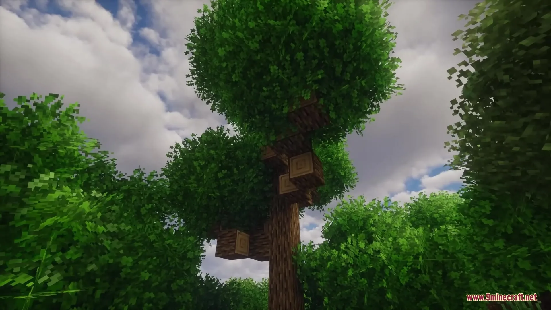 Rainbows Foliage Polytone Resource Pack adds thick bushy leaves to Minecraft trees