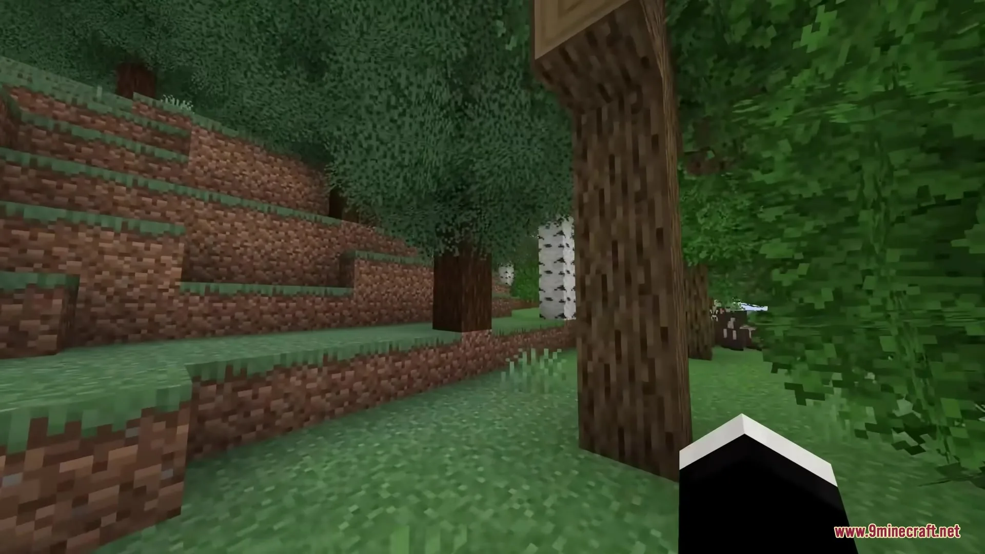 Exploring a dense forest with bushy leaves and diverse trees in Minecraft