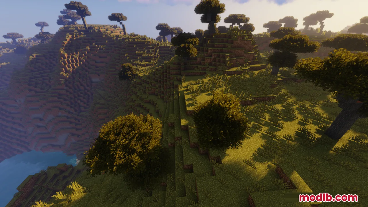 Dense and bushy tree leaves enhance the look of a savanna landscape