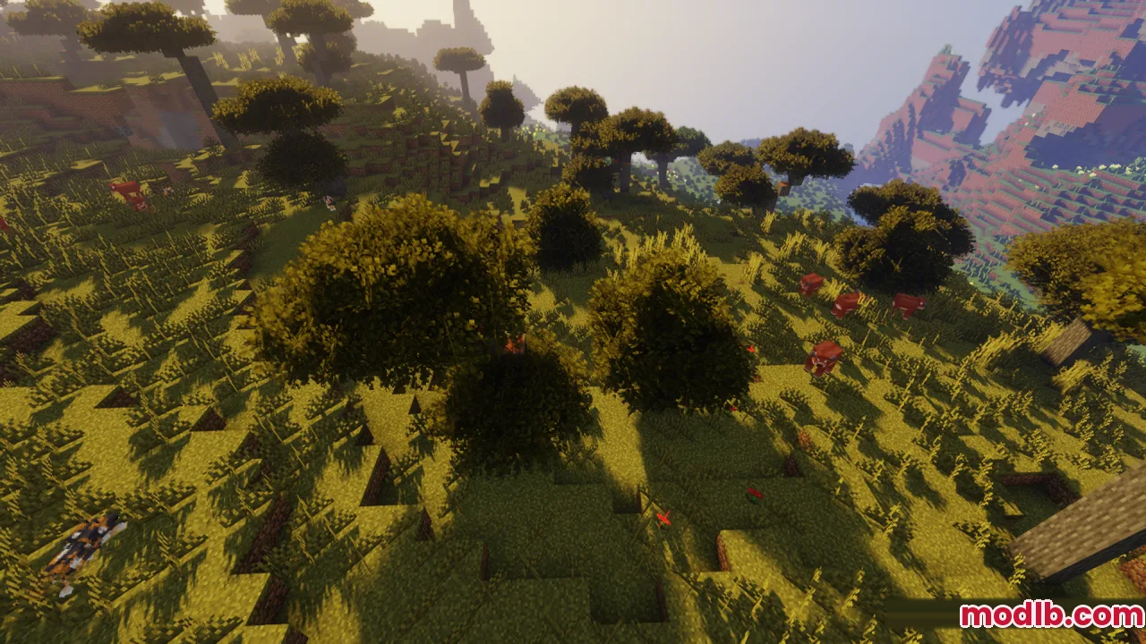 Red cows grazing near bushy trees in a sunny savanna biome