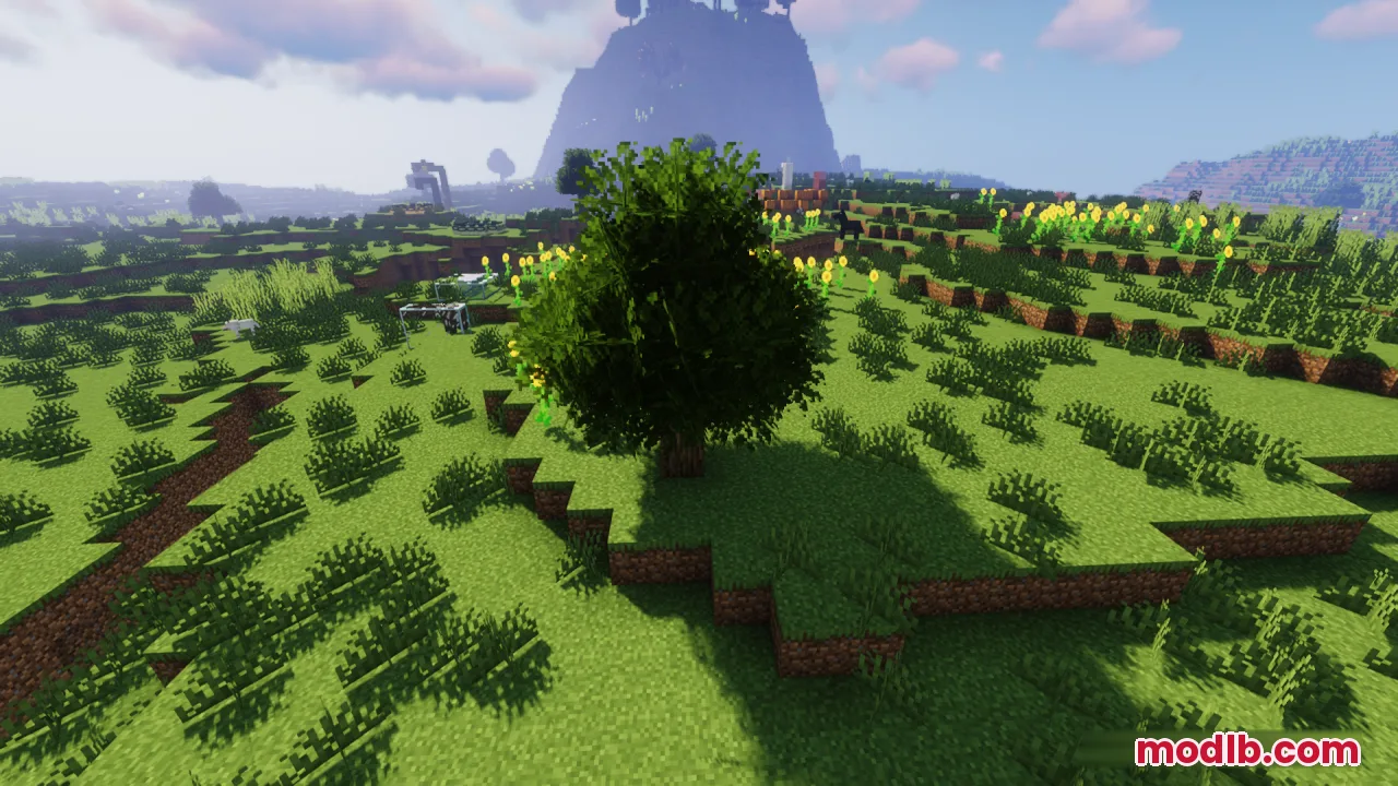 A bushy tree stands in a grassy field with yellow flowers and mountains
