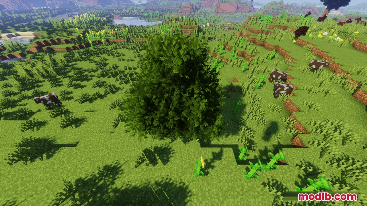 Bushy green tree standing in a grassy field with several grazing cows