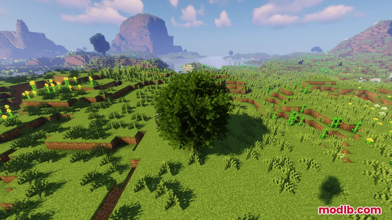 A bushy tree grows in a vibrant meadow filled with yellow sunflowers