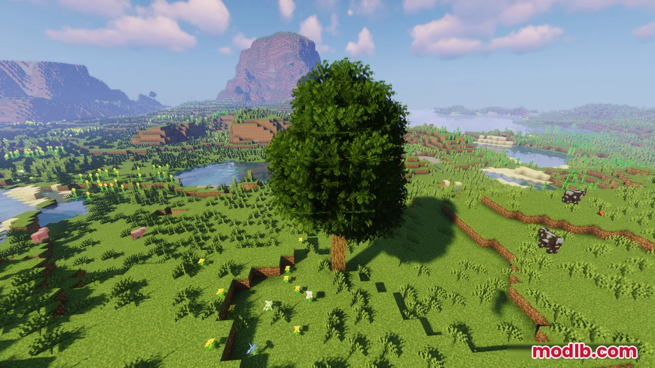 A tall bushy tree stands on a hill with mountains in the background