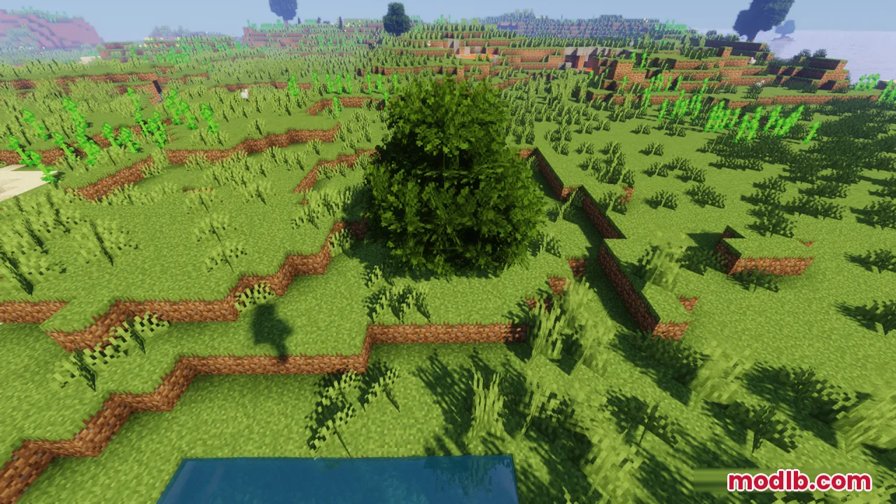 A lush green tree with bushy foliage grows on a grassy hill near water