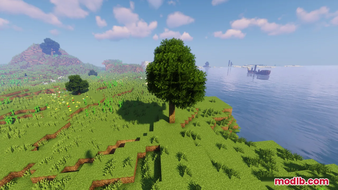 A bushy tree stands on a grassy cliff overlooking the vast blue ocean