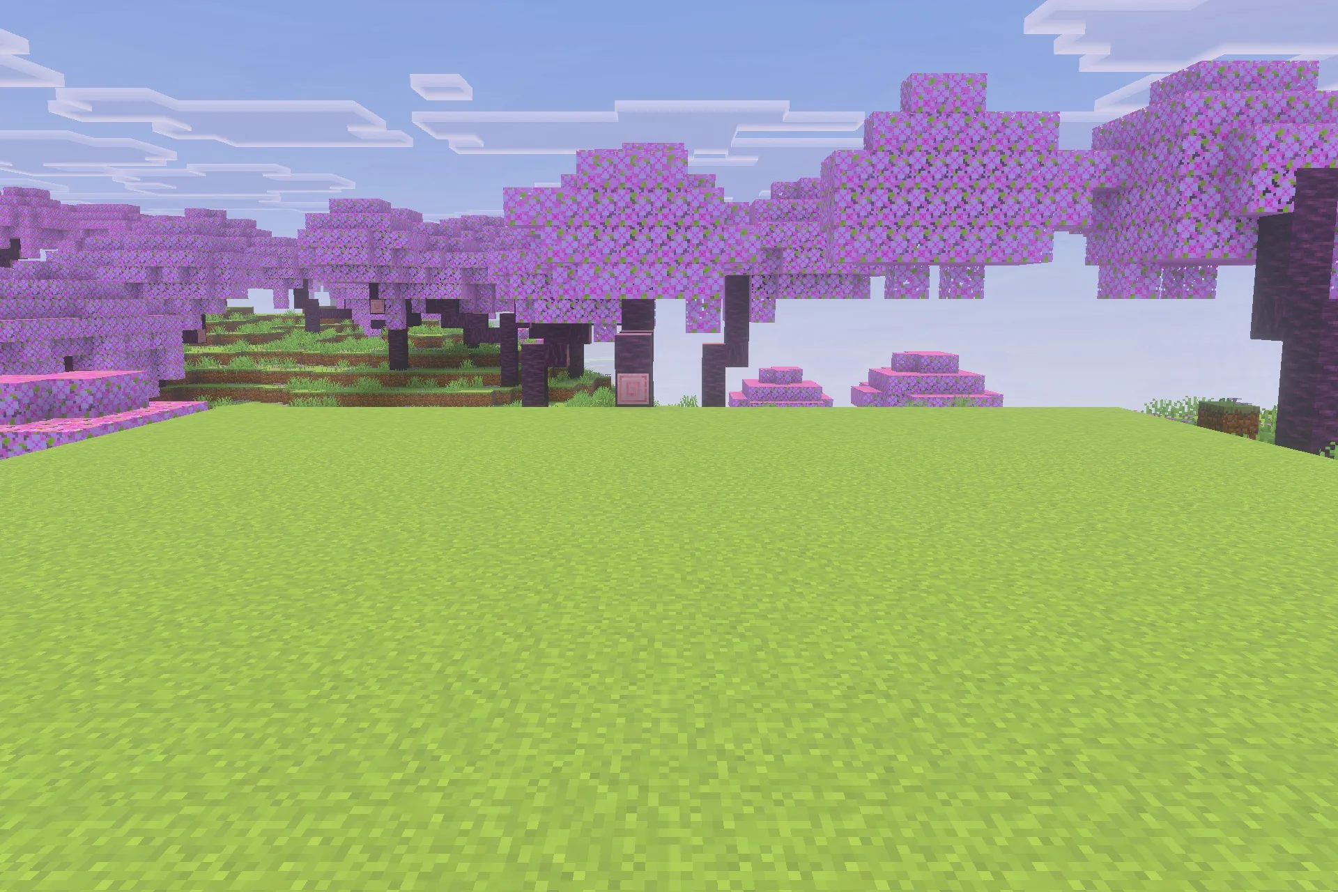 Saturated for Bedrock Edition Texture Pack Screenshot 1 Beautiful cherry blossom biome with vibrant pink leaves and bright green grass