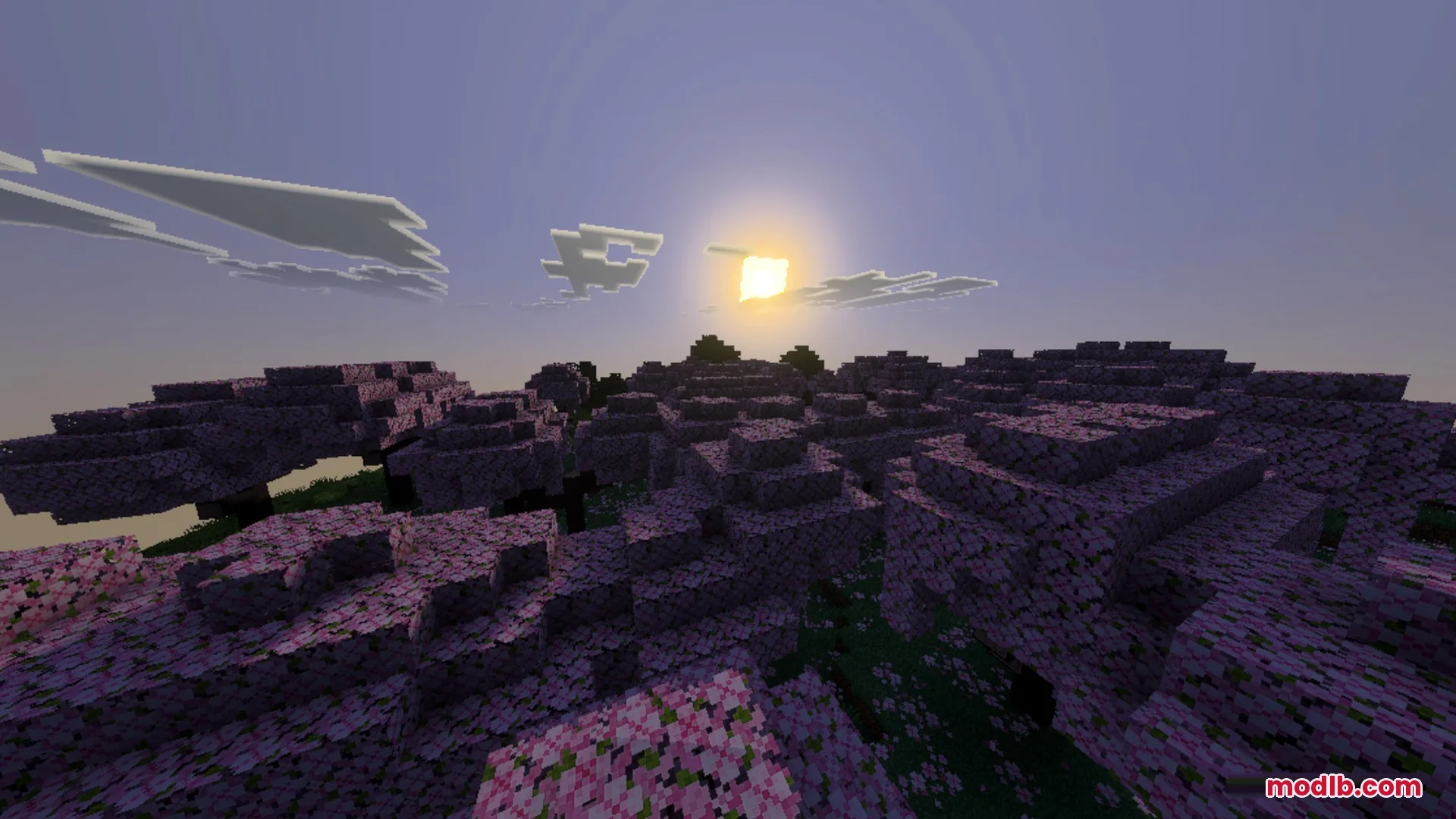 Sildaum Vibrant Shaders Screenshot 2 Pink cherry blossom trees glowing under the warm light of a golden sunset