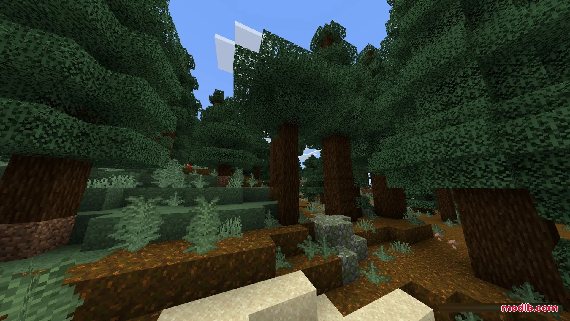 SMOOTH FPS PLUS Shader Screenshot 3 Spruce forest biome with tall trees and clear visibility under a blue sky
