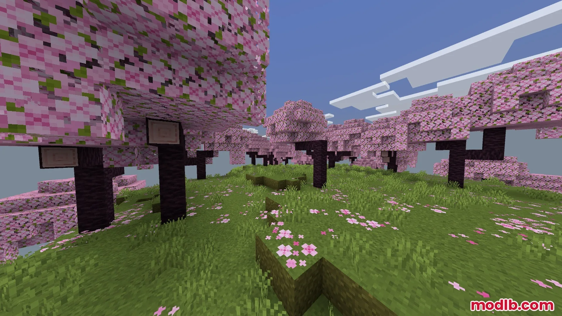 SMOOTH FPS PLUS Shader Screenshot 1 A vibrant cherry blossom biome featuring pink trees and clear blue skies