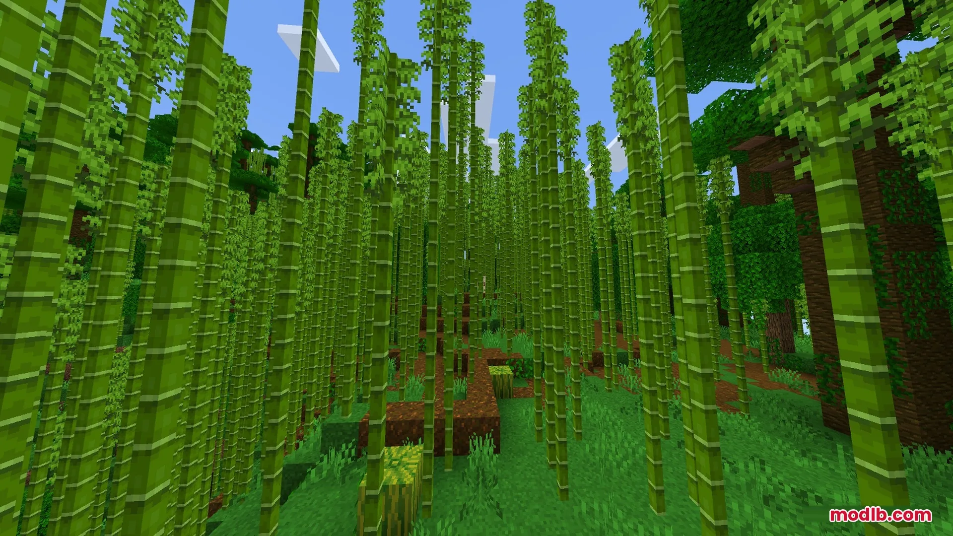 SMOOTH FPS PLUS Shader Screenshot 5 Dense bamboo forest with clear visibility and no fog in the distance