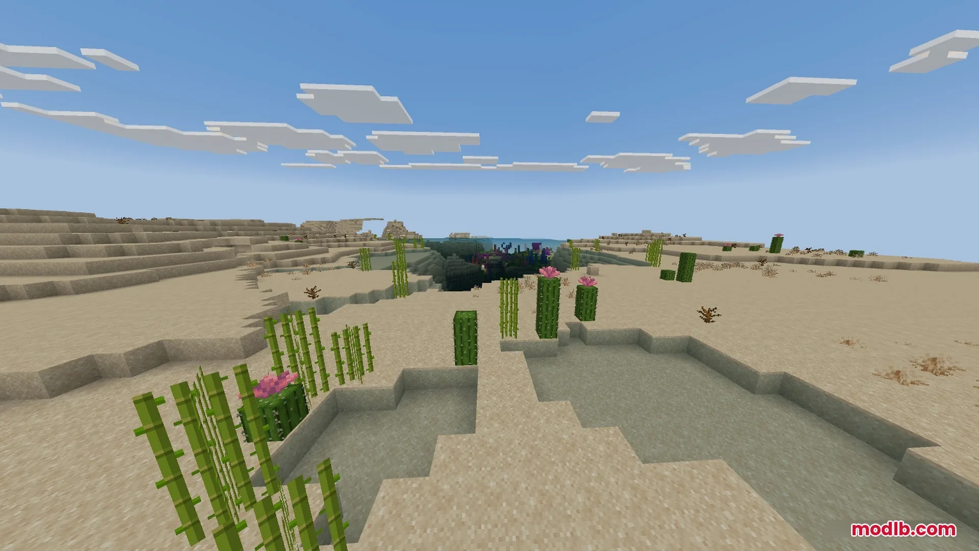 SMOOTH FPS PLUS Shader Screenshot 4 Desert biome with cacti and sugar cane showing clear water without any fog