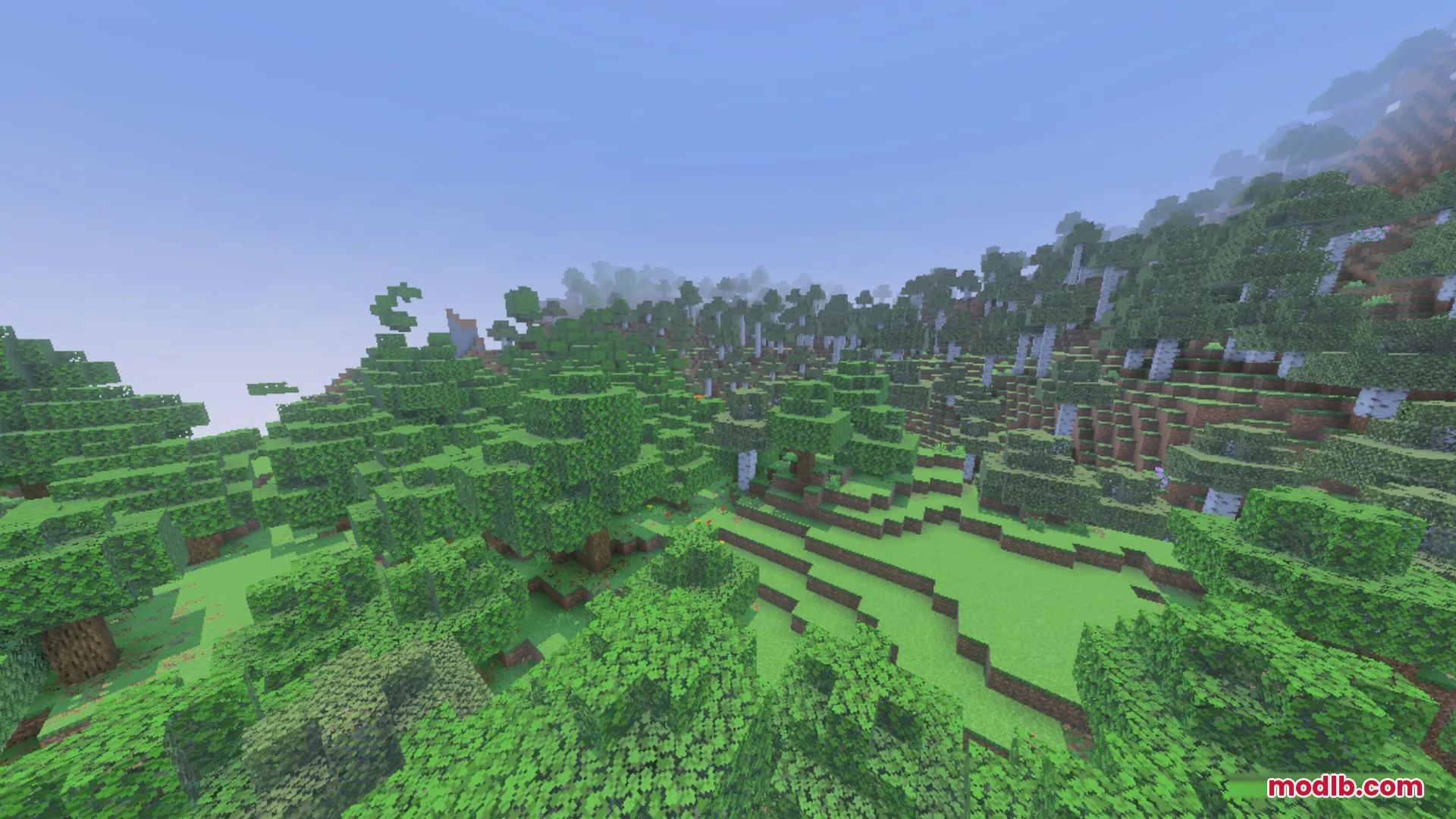 Lush green forest landscape with enhanced lighting and colorful atmospheric biome fog