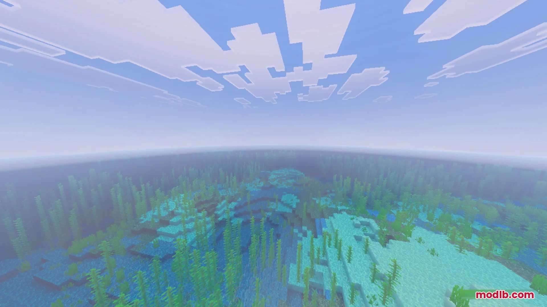 Bright underwater landscape with kelp and coral under a clear blue sky