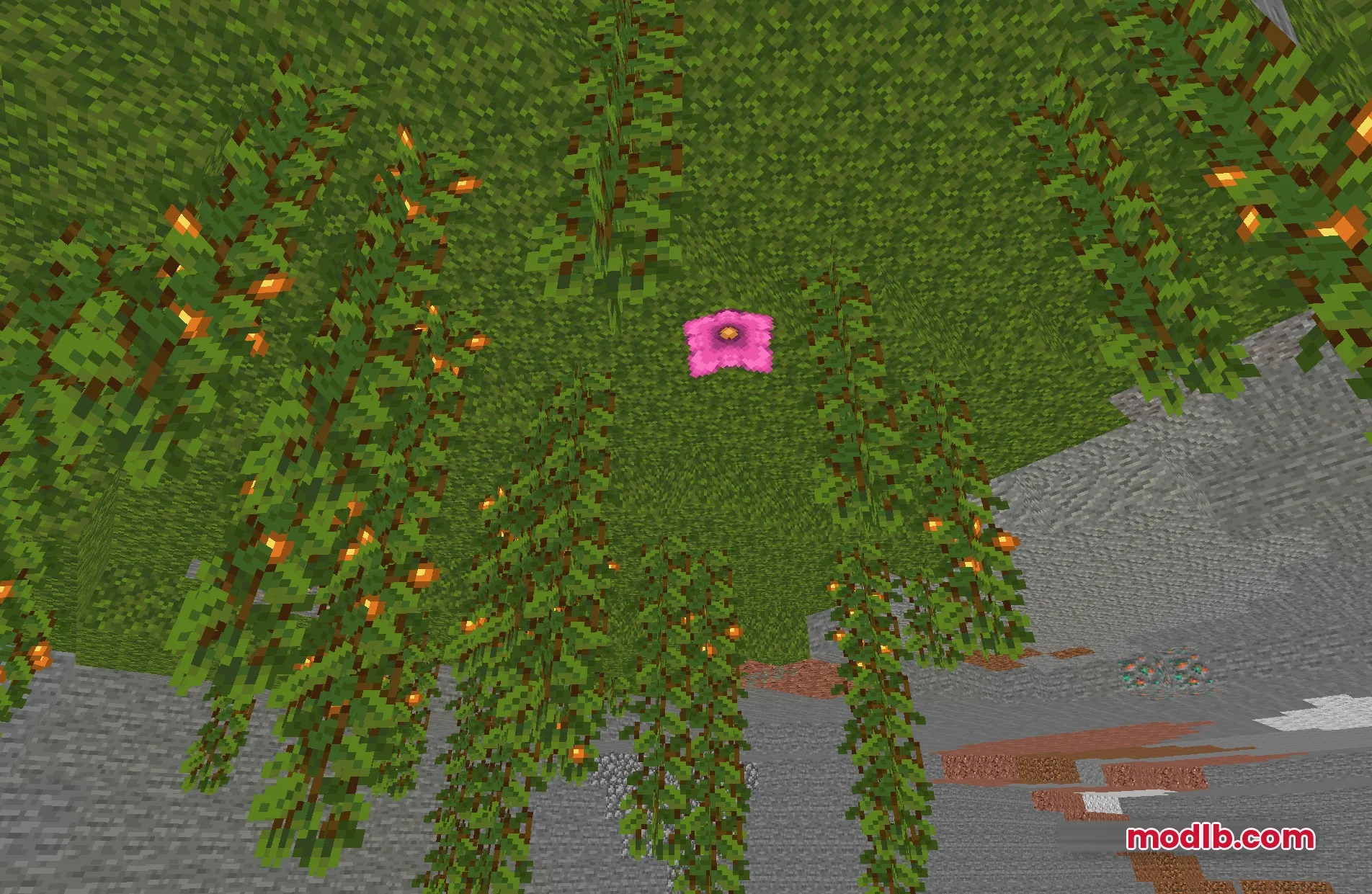 Spirit Shaders Screenshot 6