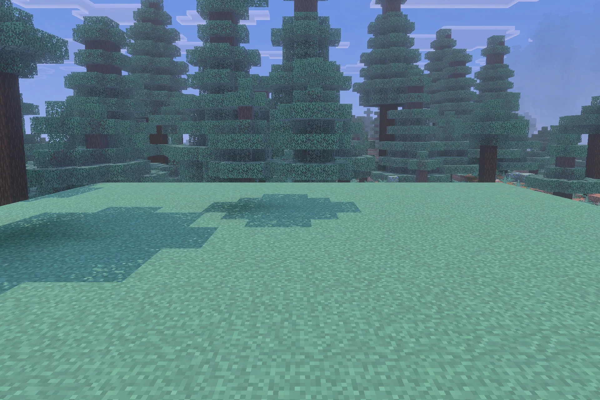 Terrifying Freddy Addon Screenshot 2 An open area of grass surrounded by a dense forest of spruce