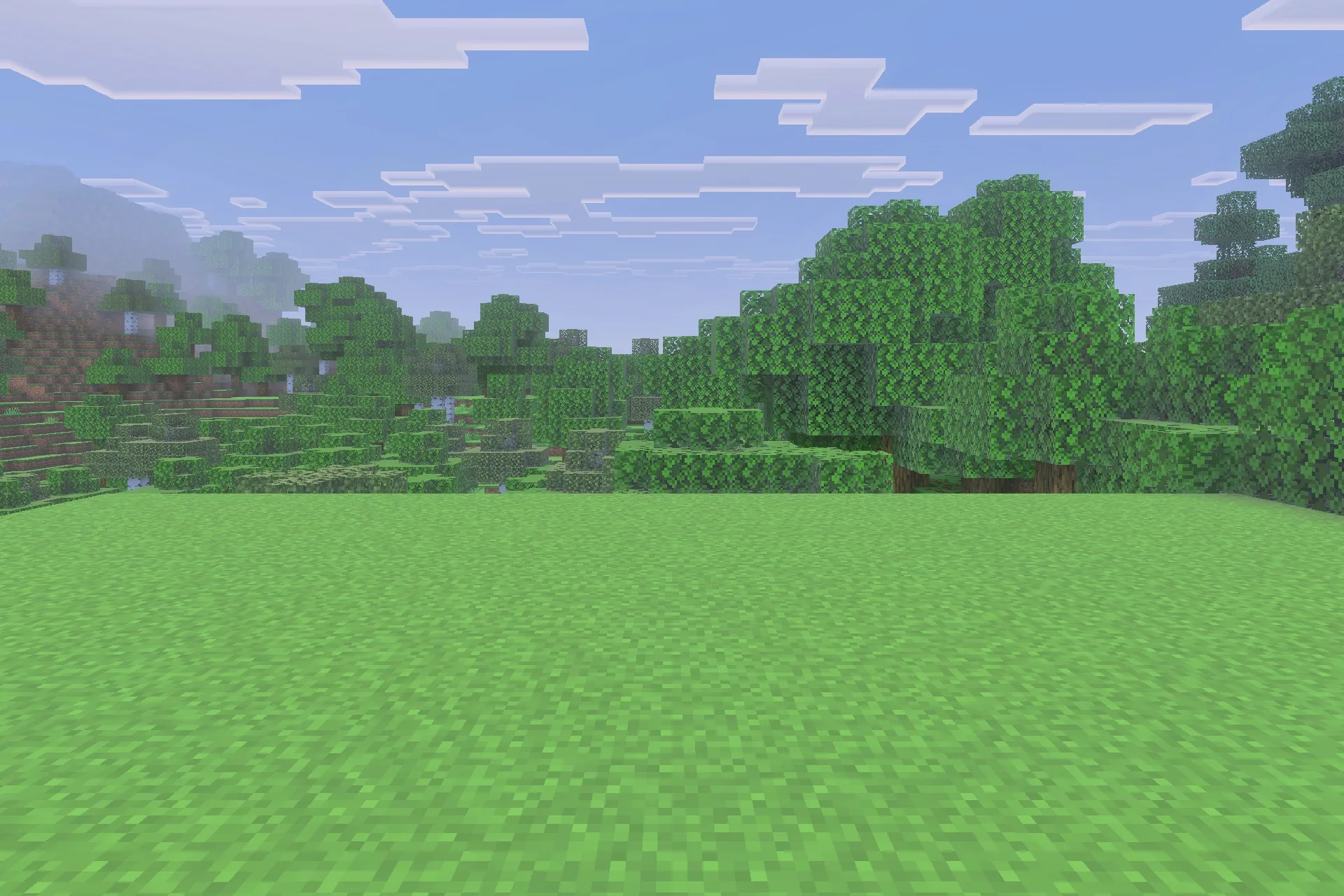 A wide green field in Minecraft with a dense forest in the background