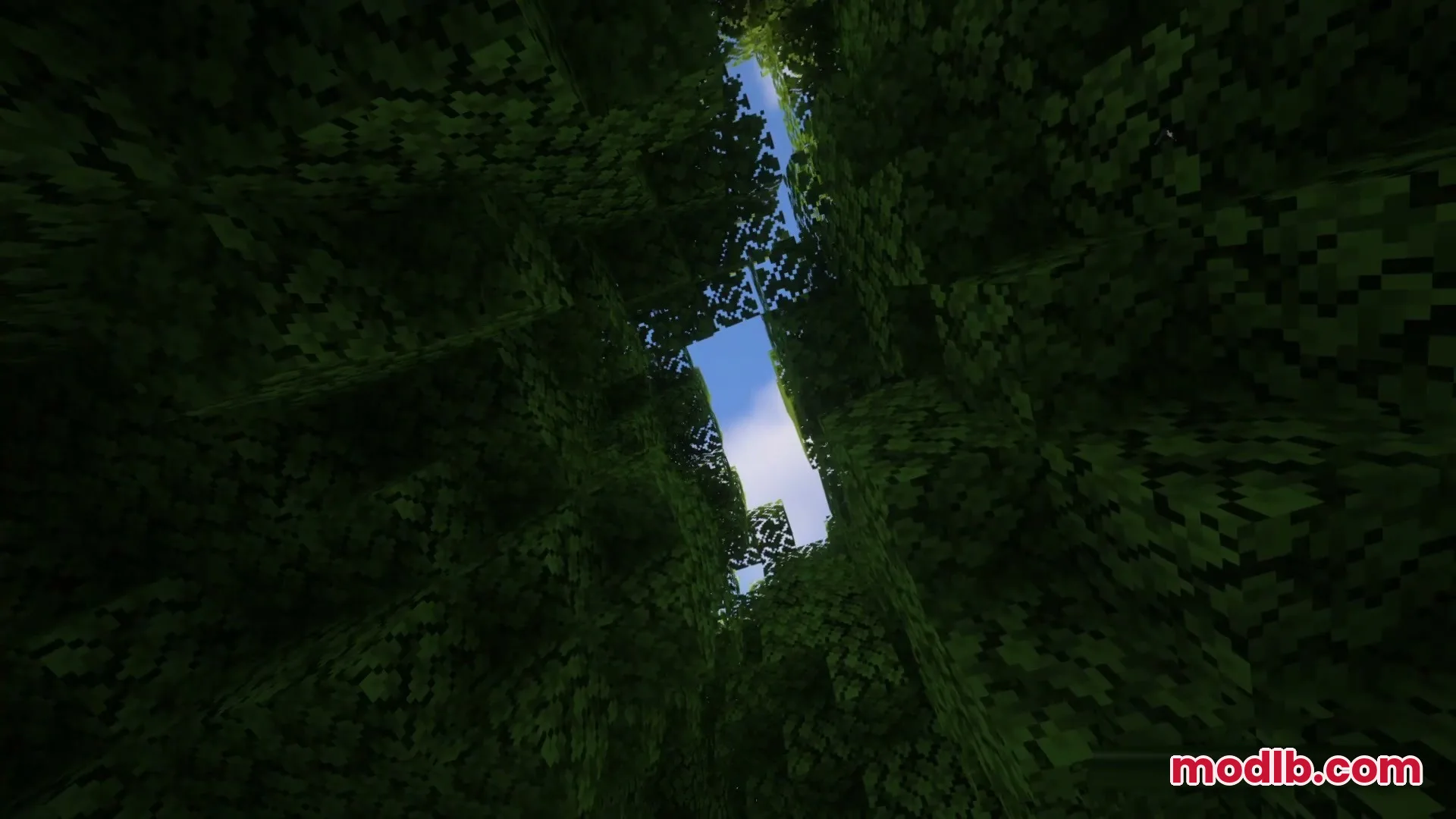 The Maze Runner MAZE! Map Screenshot 3