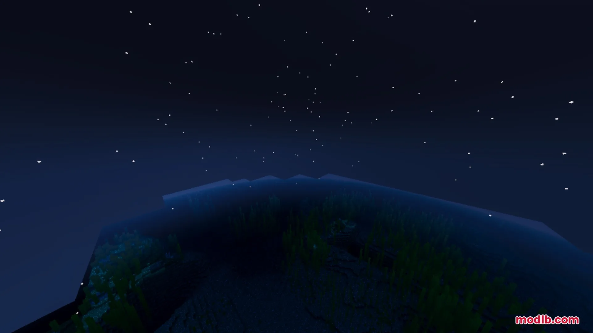Vibrant Legacy L Espace Shader Screenshot 5 Dark underwater kelp forest under a starry night sky in Minecraft