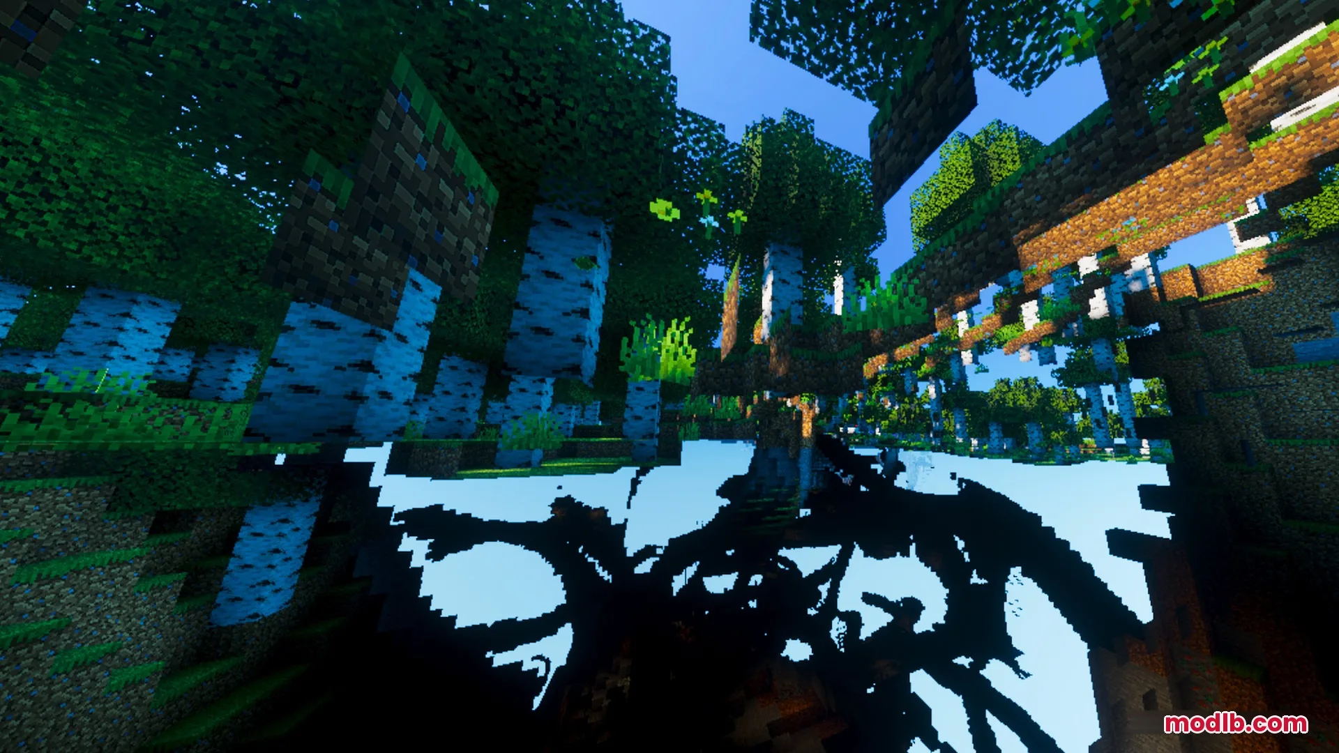 Vibrant Rtx Visuals Shader Screenshot 8 Lush green trees and birch trunks with sharp shadows in a dense forest