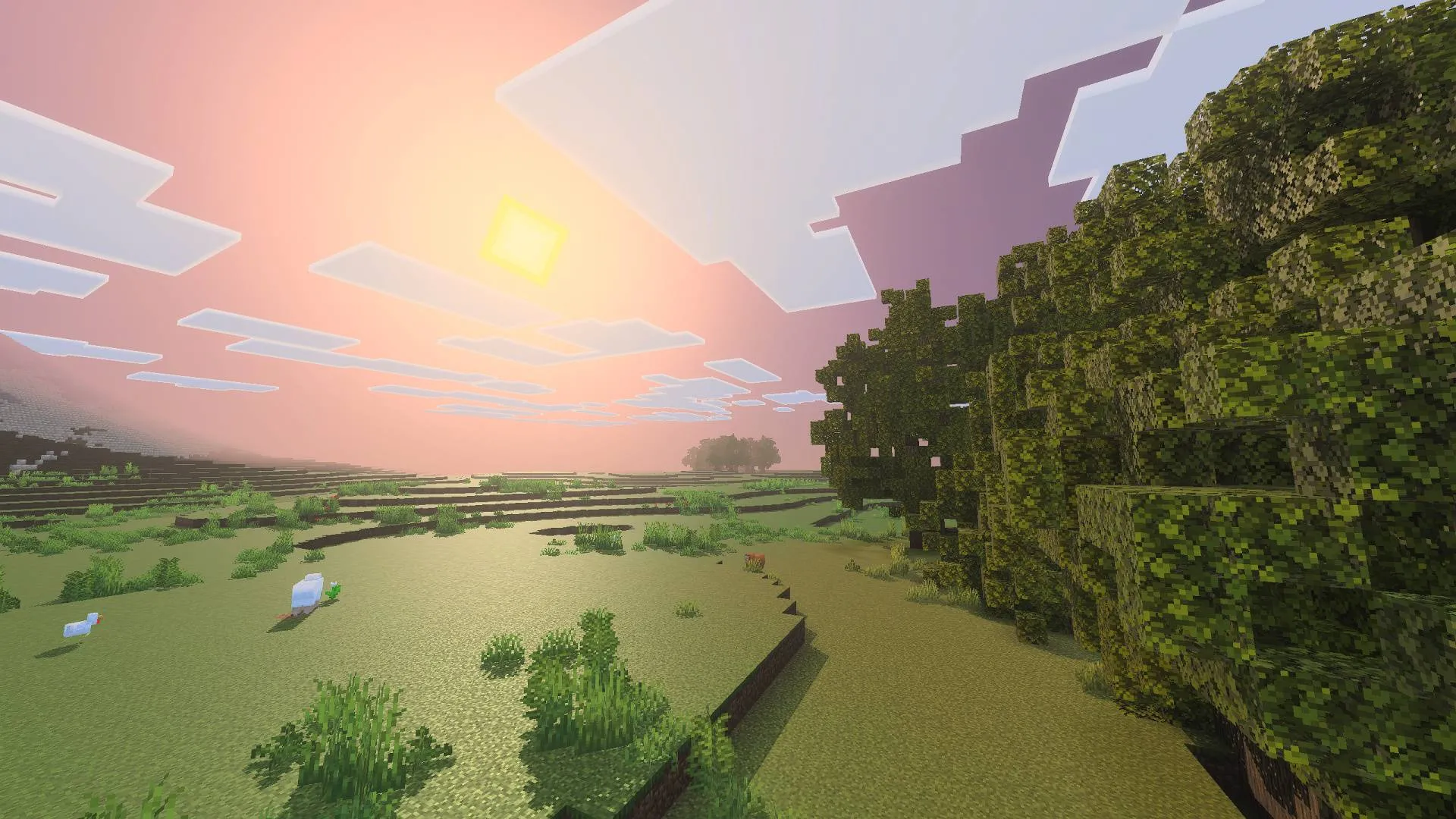 Agni Shader (1.21) – MCPE/Bedrock