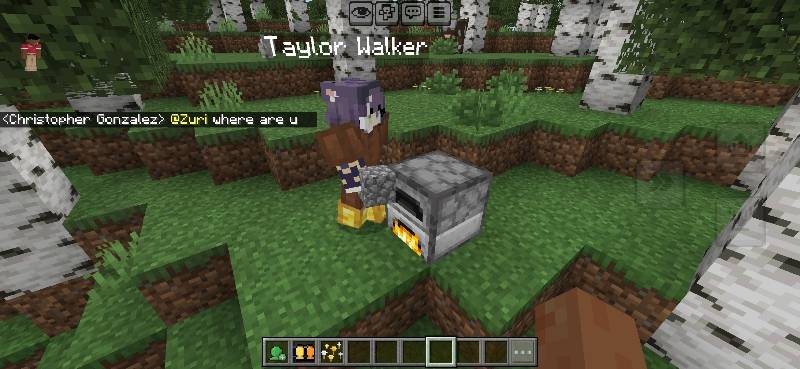 AI Multiplayer Addon Screenshot 3 AI Multiplayer Addon Screenshot 3