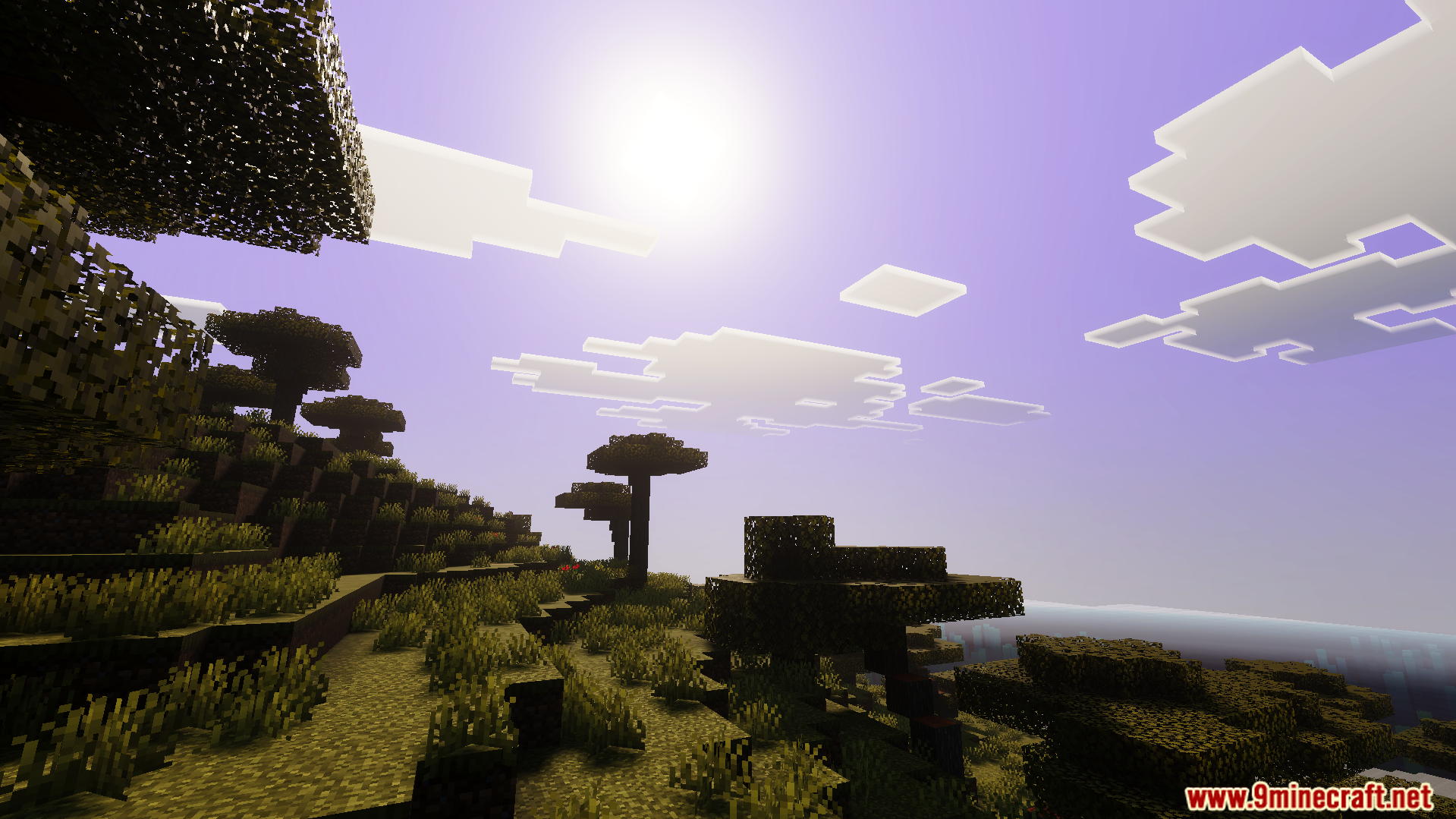 Anima Shader Screenshot 2 Beautiful sunset sky with realistic shadows and vibrant colors in a savanna biome