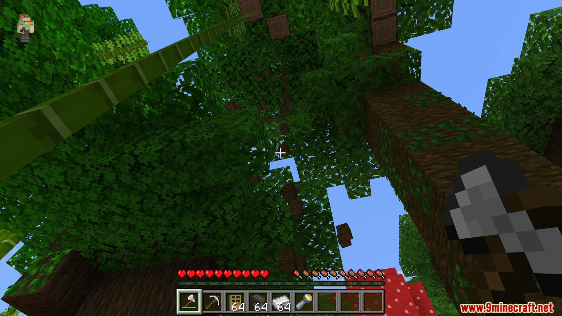 Gathering wood is much faster by felling the entire tree
