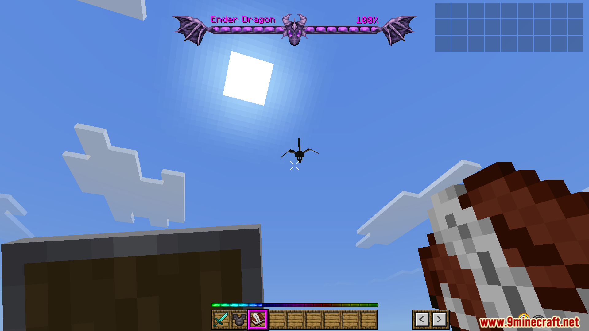 The addon displays a custom health bar for the dragon
