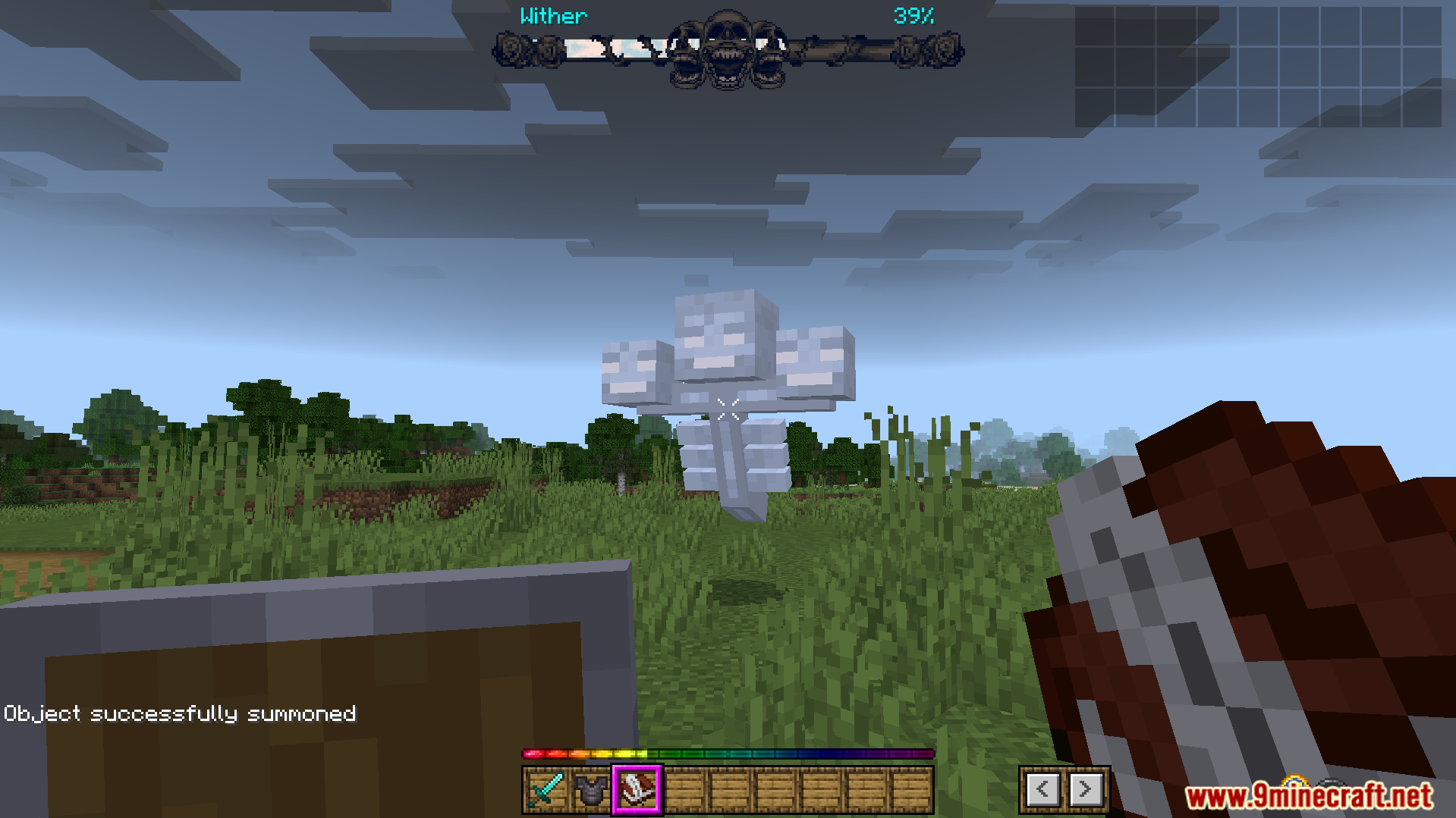 A custom boss health bar is shown for the Wither