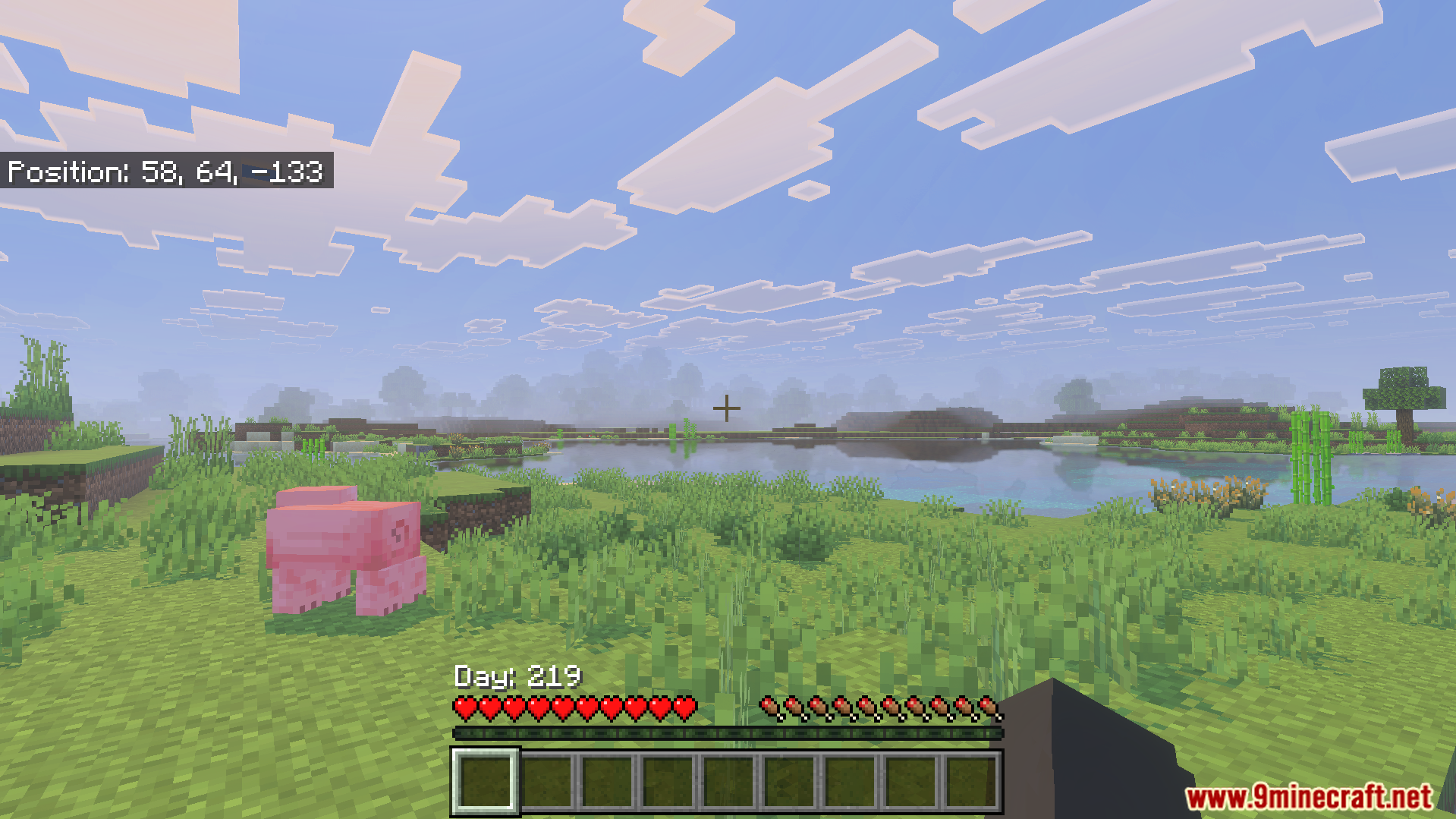 Better Days Played Texture Pack Screenshot 3 The addon moves day count and coordinates above the hotbar
