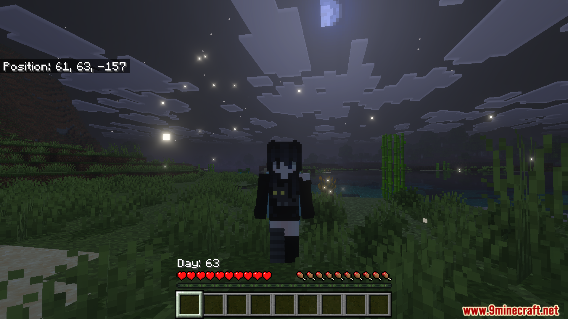 Better Days Played Texture Pack Screenshot 6 A player poses at night with the relocated day counter