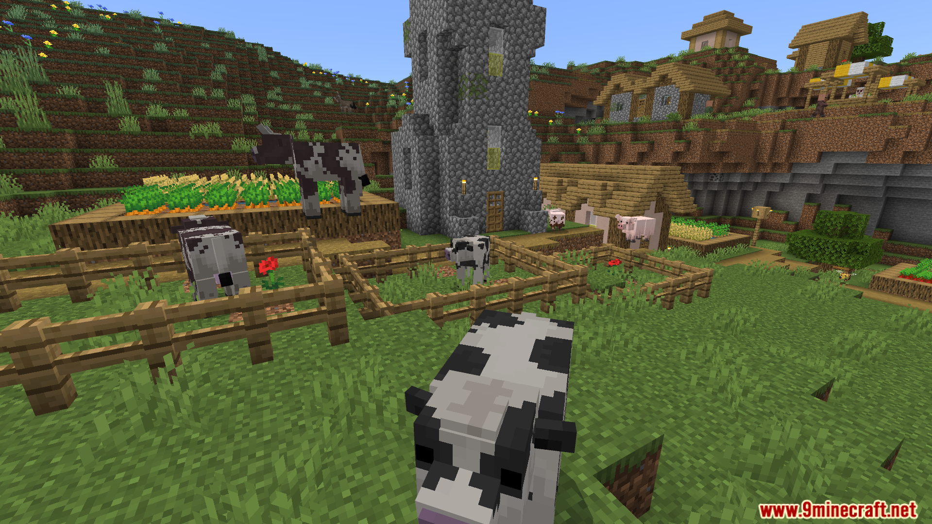 Custom cow models with realistic textures roaming around a fenced village farm area