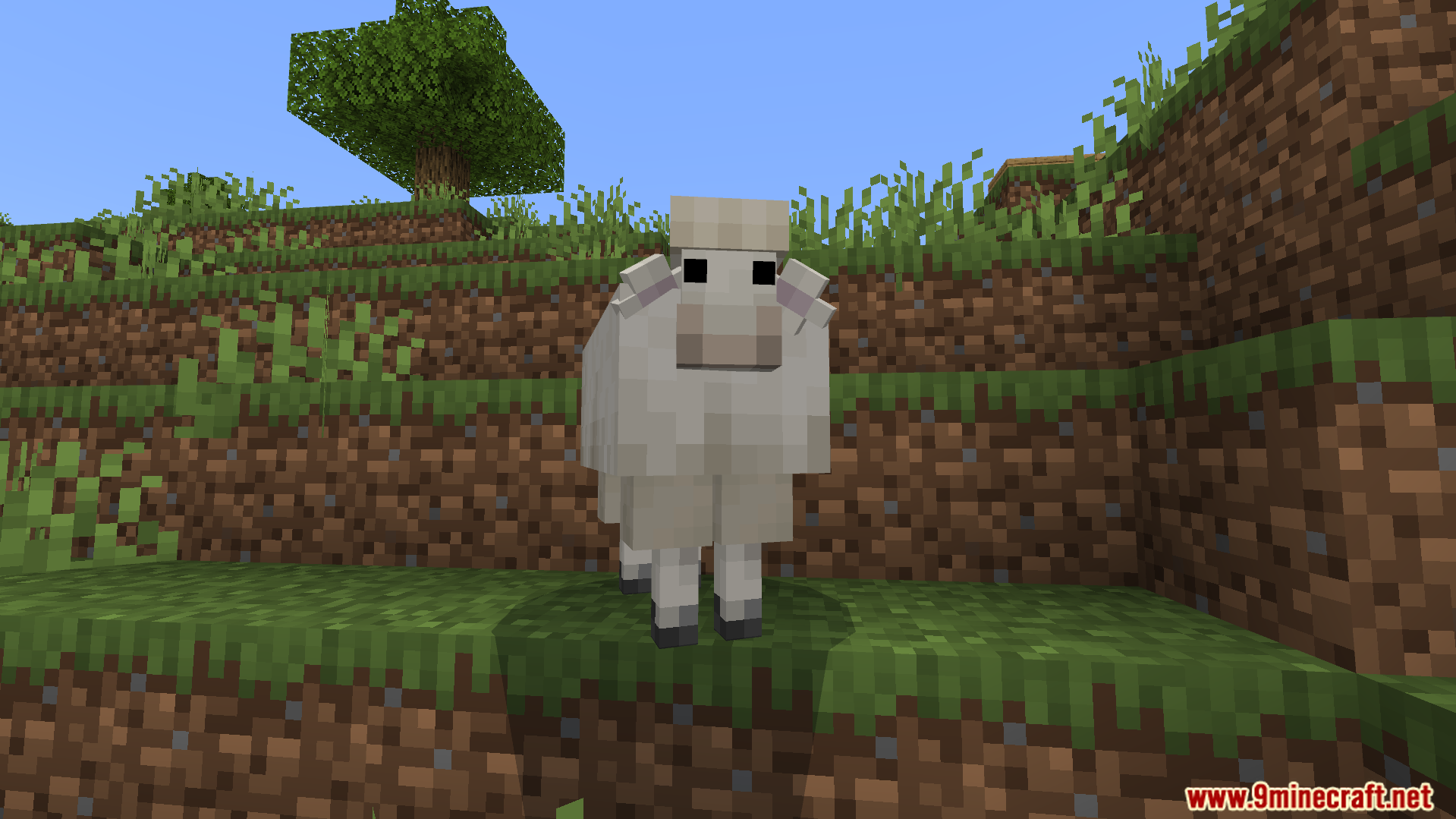 White sheep with an updated realistic custom model standing on a grass block