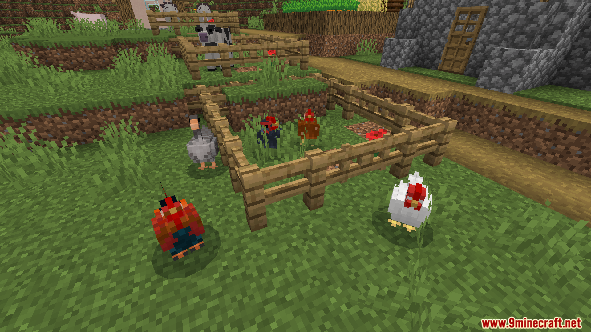 several chickens with updated realistic models and varied textures inside a wooden fence
