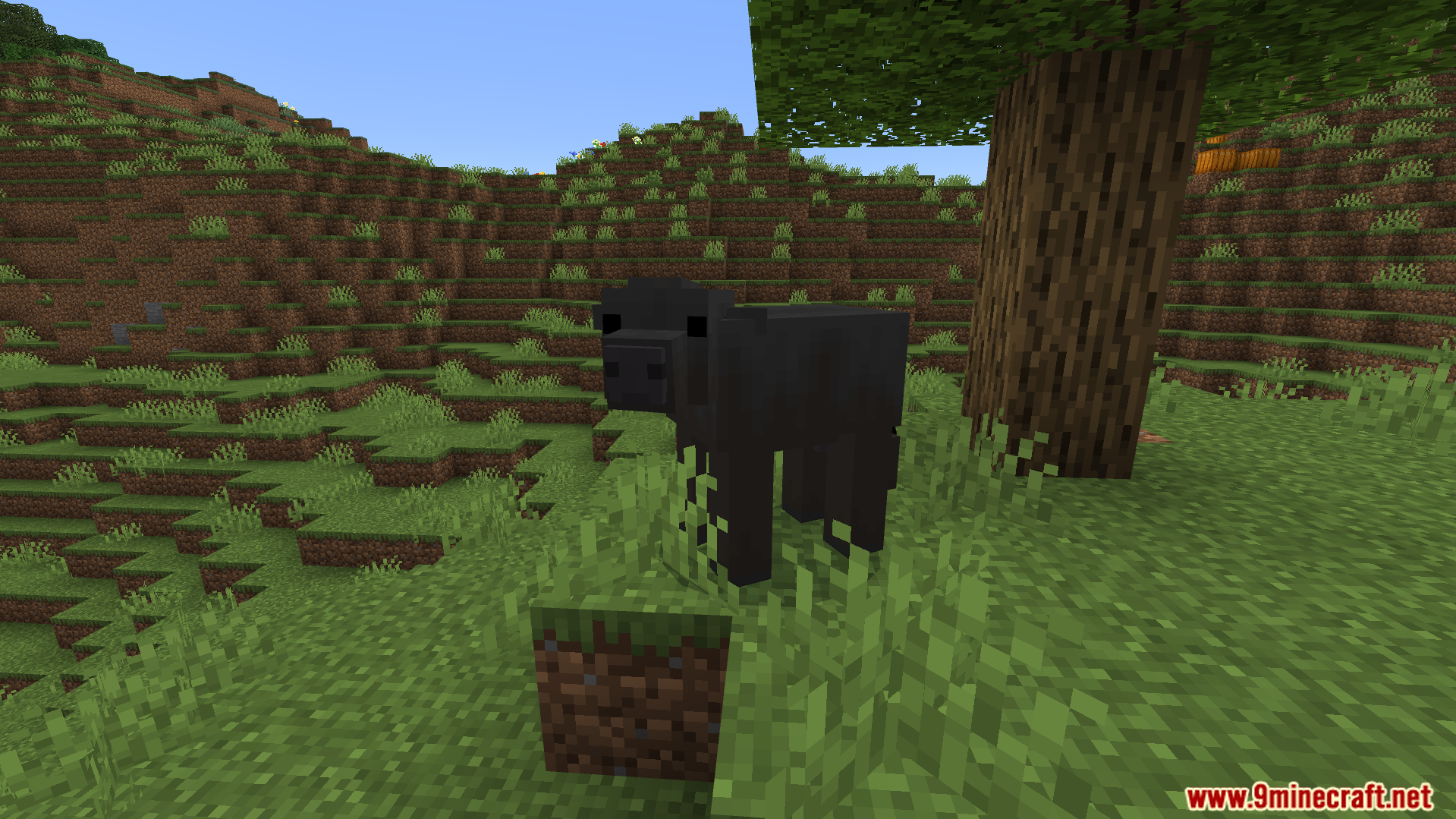 realistic black cow with a custom model standing in a grassy field