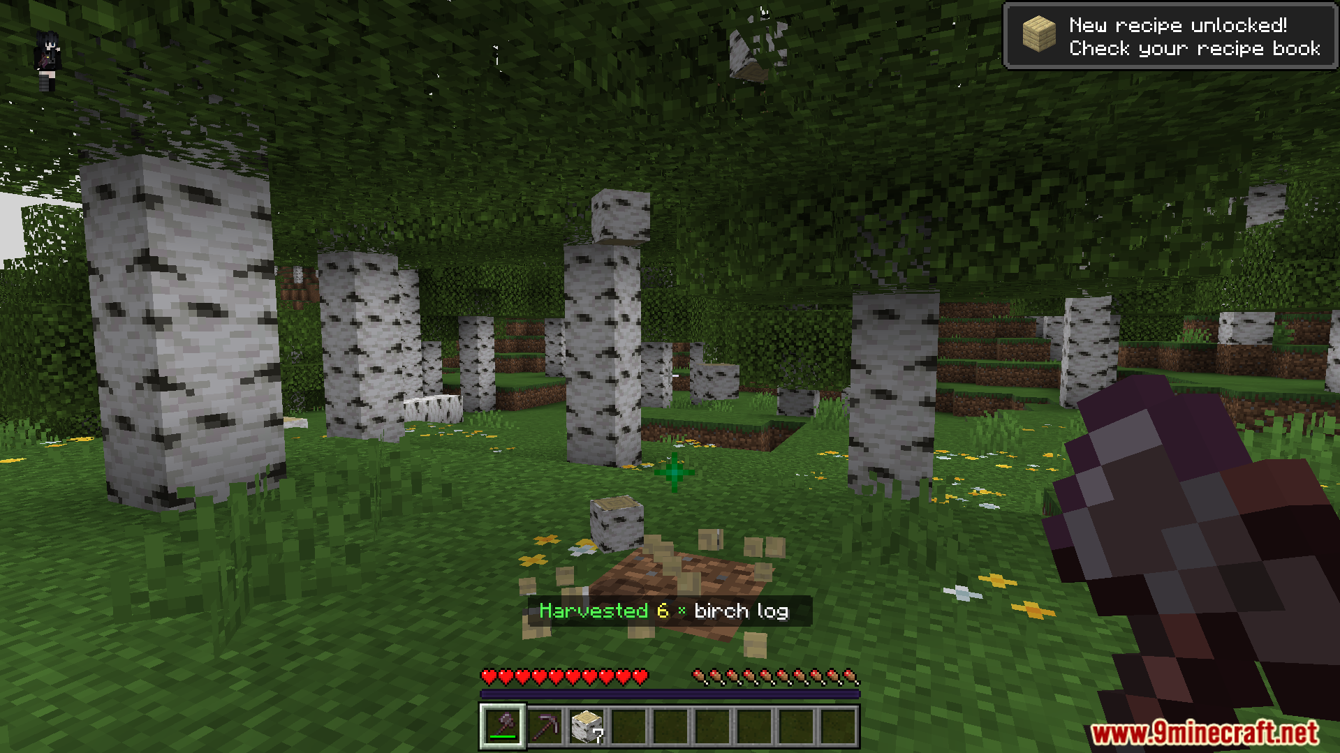 player chopping down an entire birch tree at once dropping multiple logs