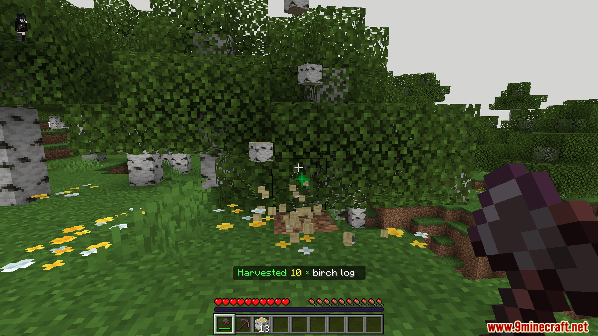 player chopping down entire birch tree at once gathering wood resources much faster