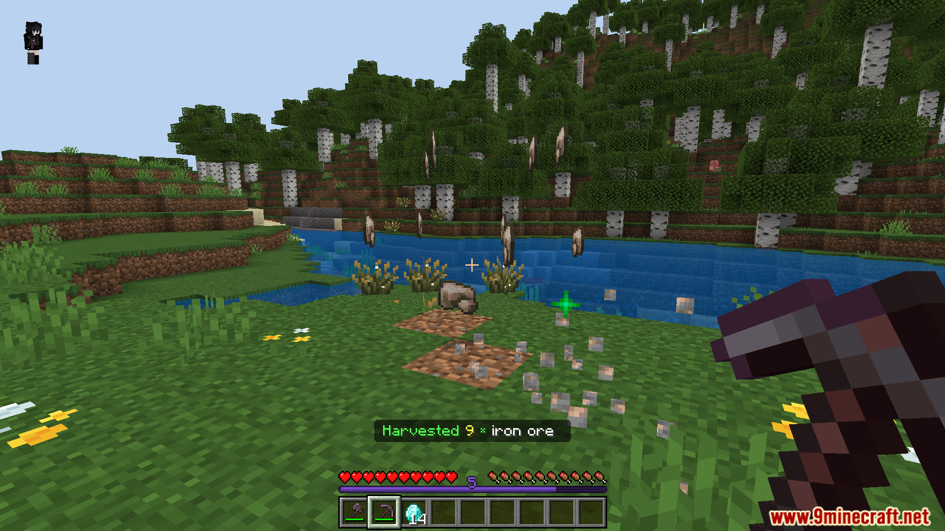 All connected iron ores mined at once dropping raw iron and experience
