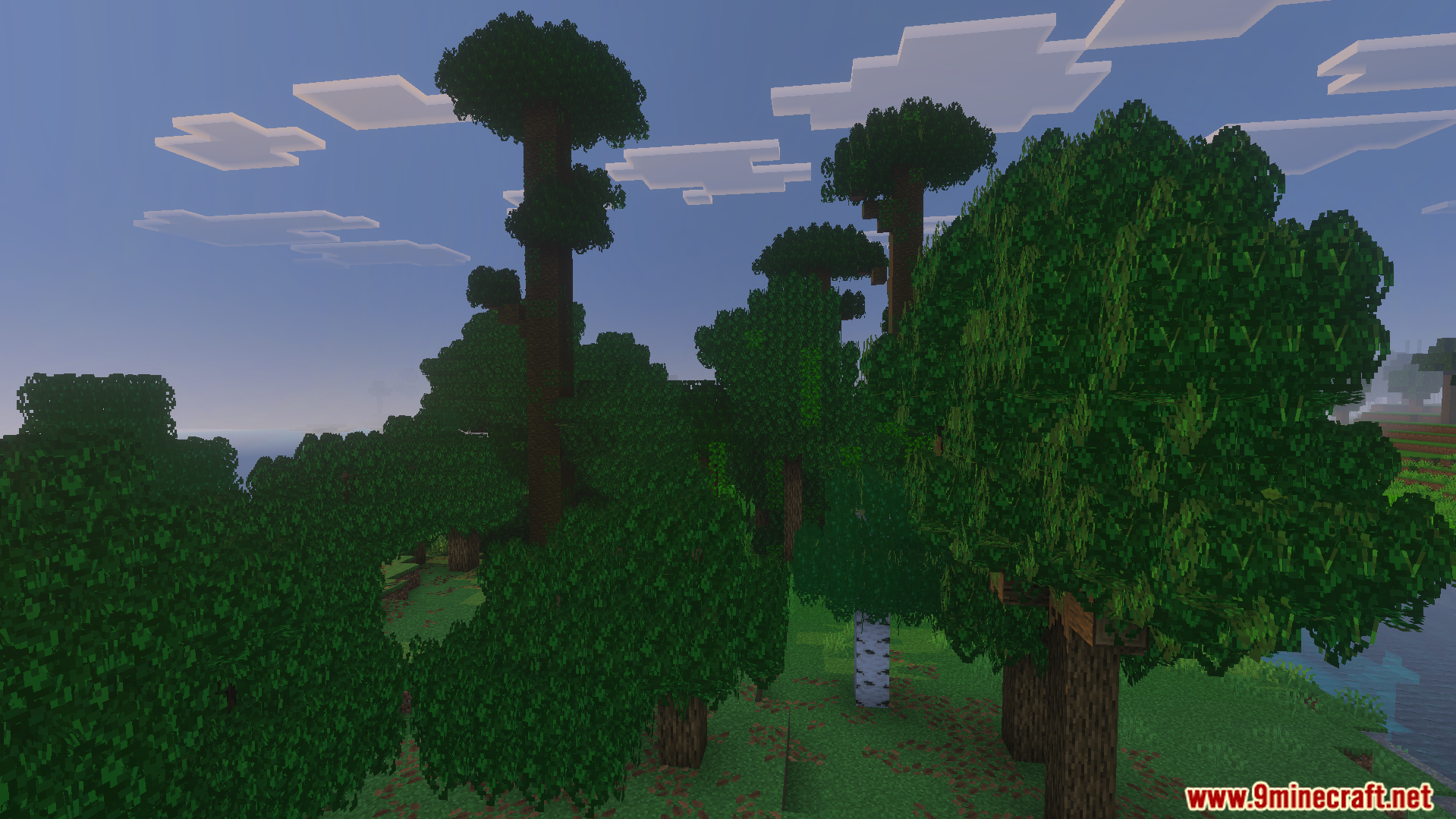 Bushy Trees Texture Pack Screenshot 3 Bushy Trees Texture Pack adds thick and full leaves to a dense forest